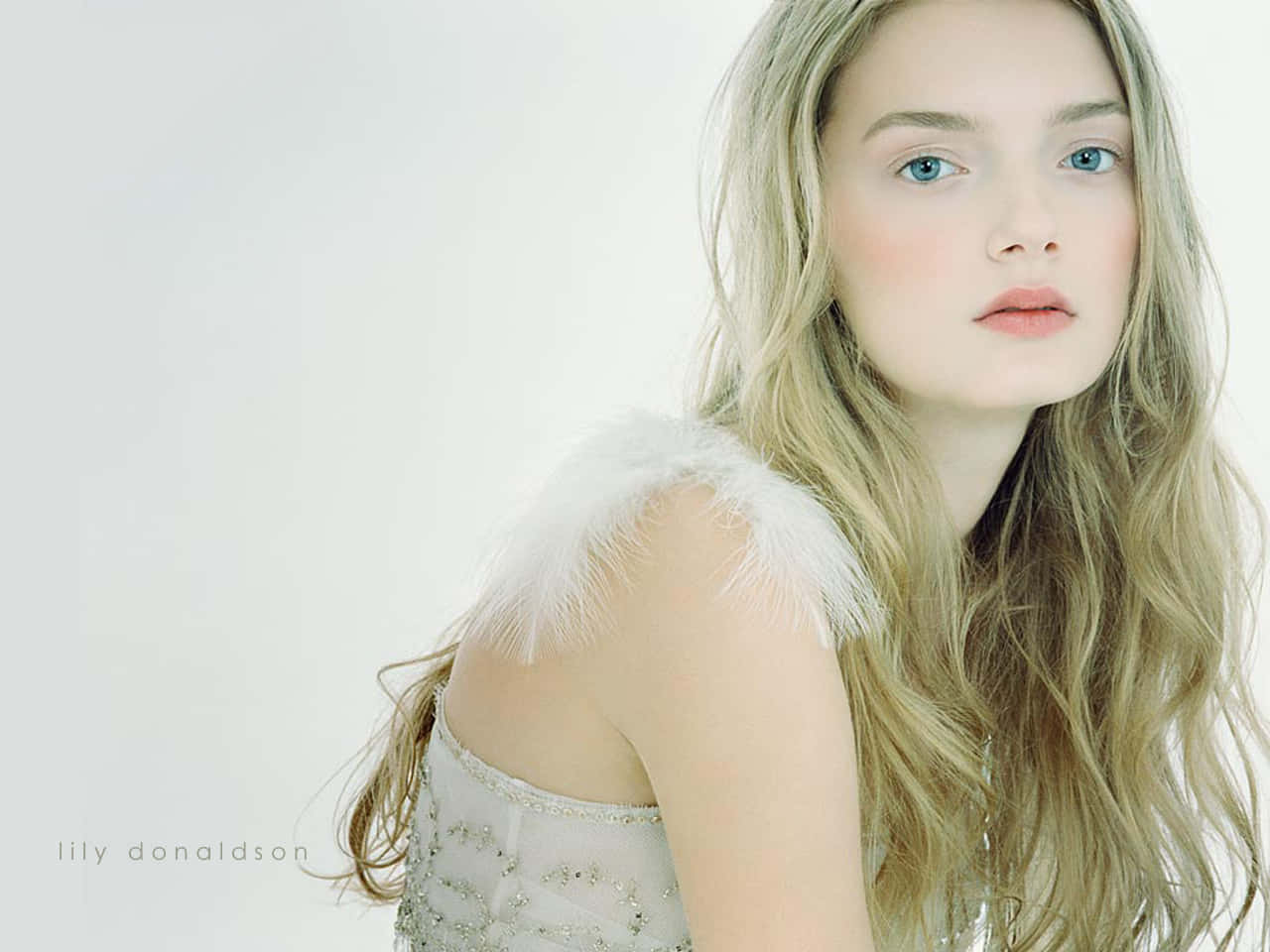 Ethereal Beauty Lily Donaldson Background