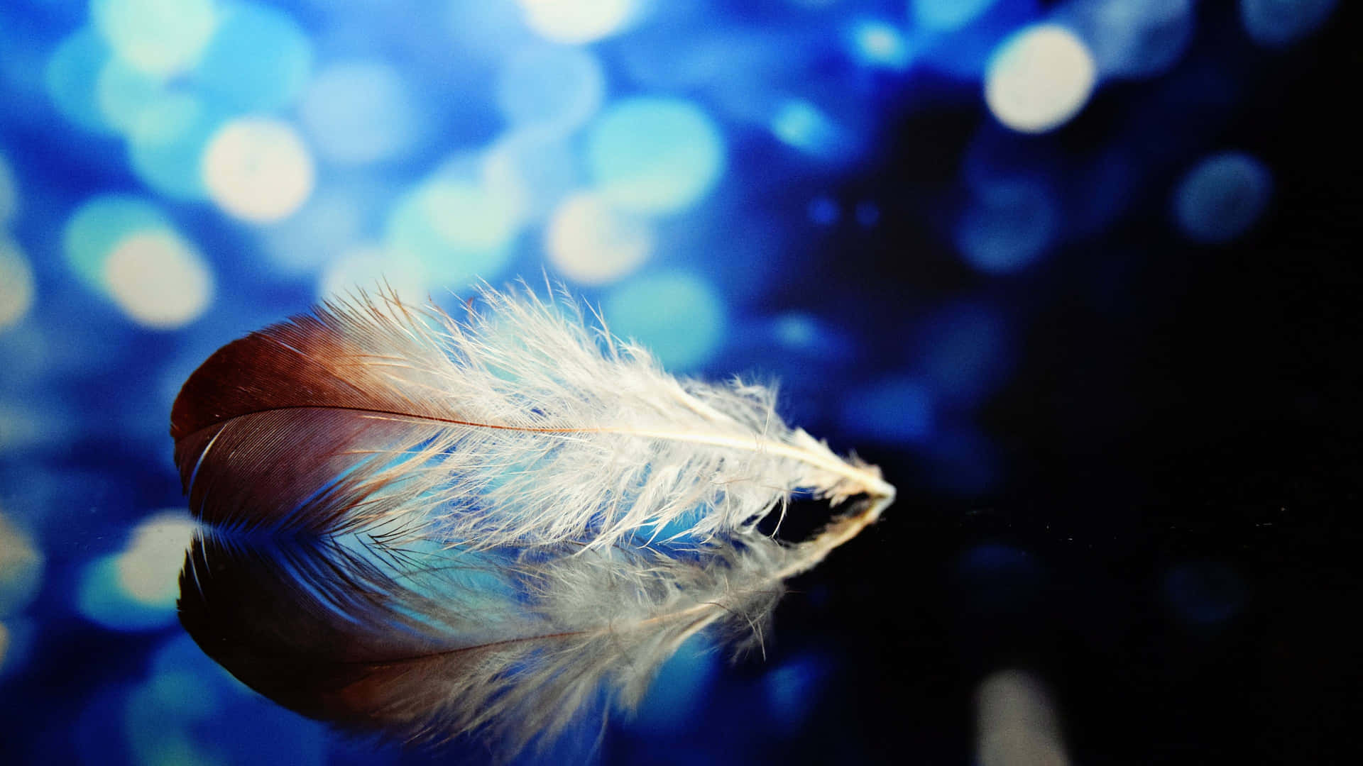Ethereal Feather Bokeh Background Background