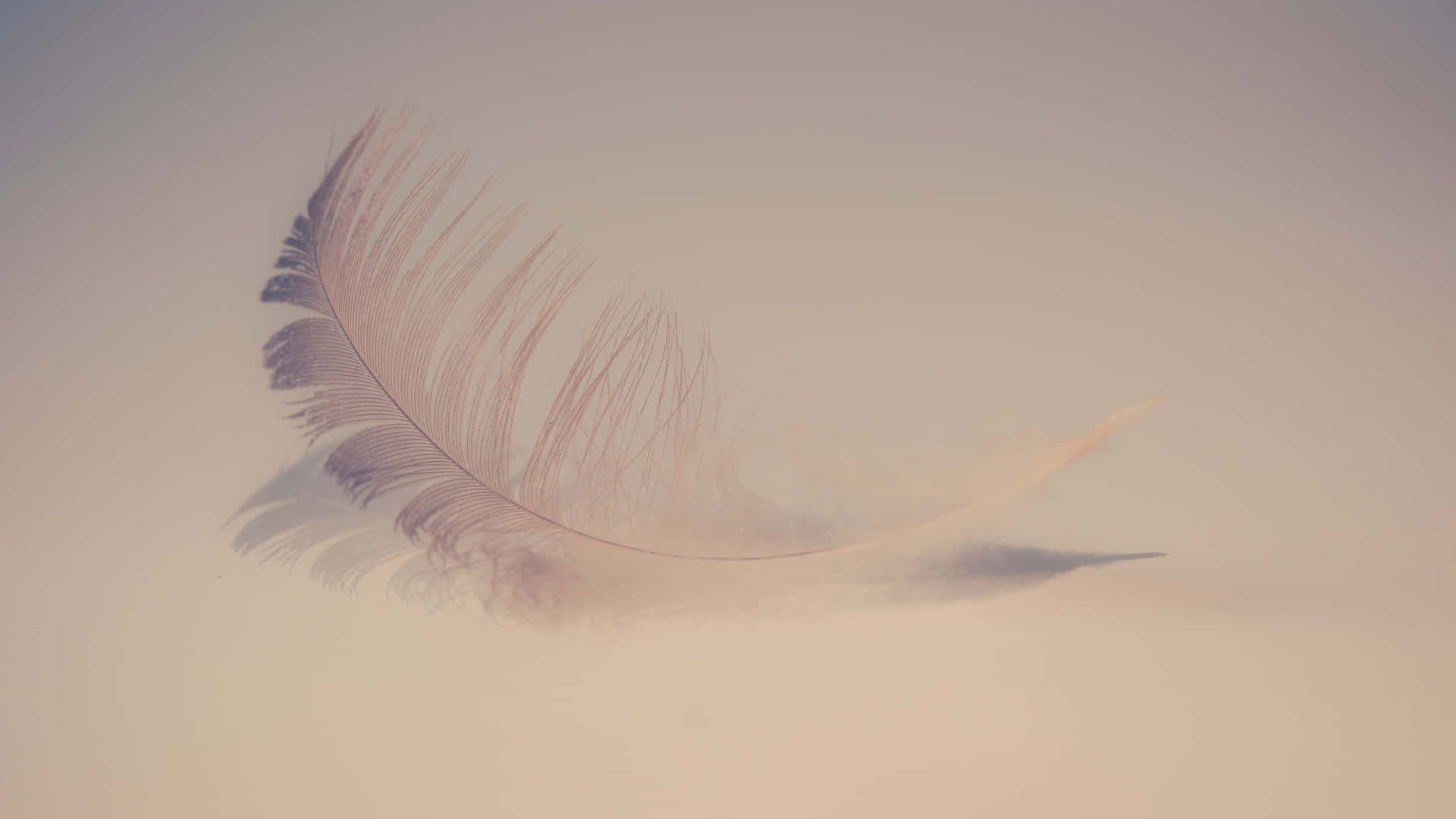 Ethereal Single Feather