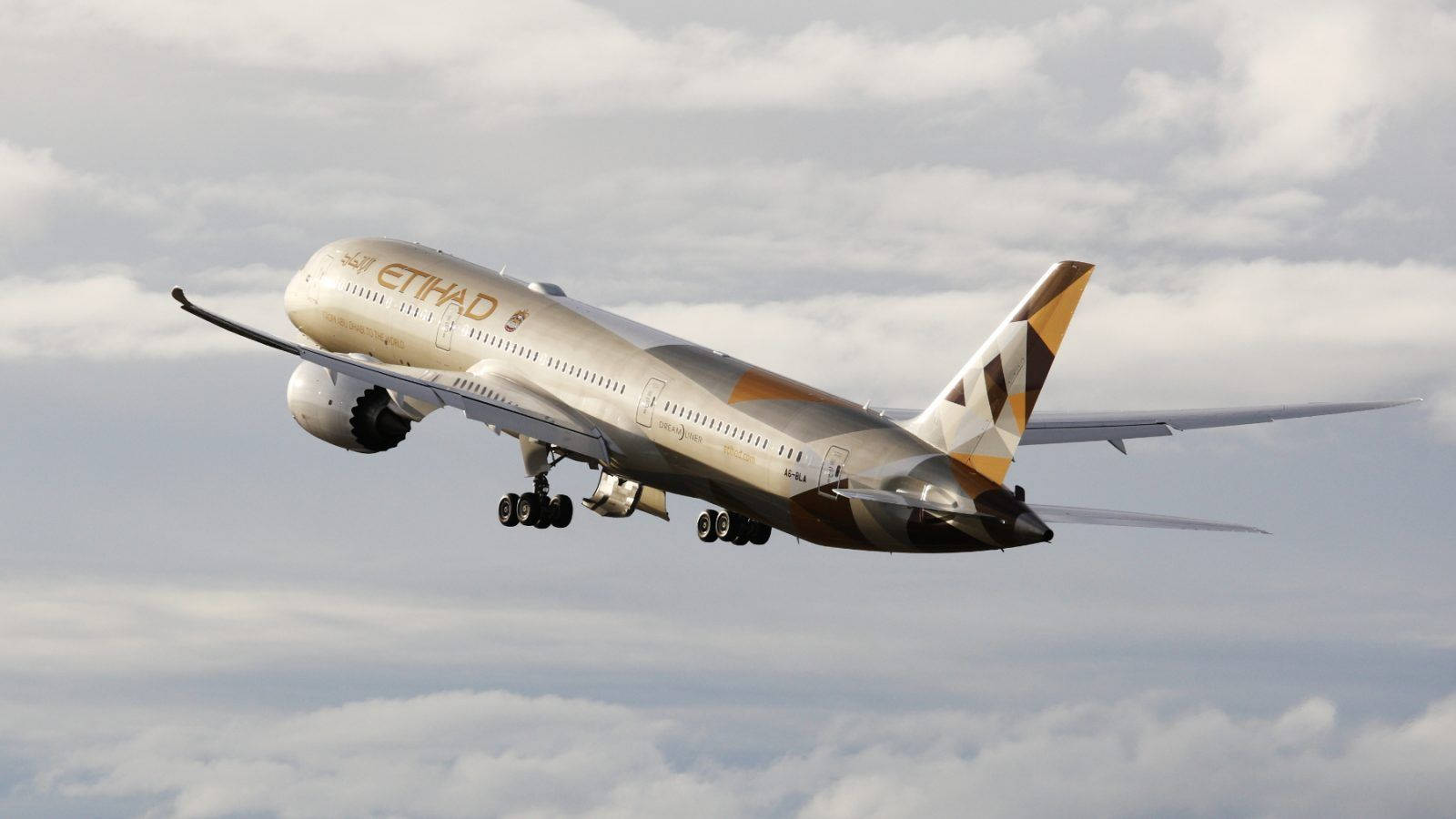 Etihad Airways Soaring Plane Background