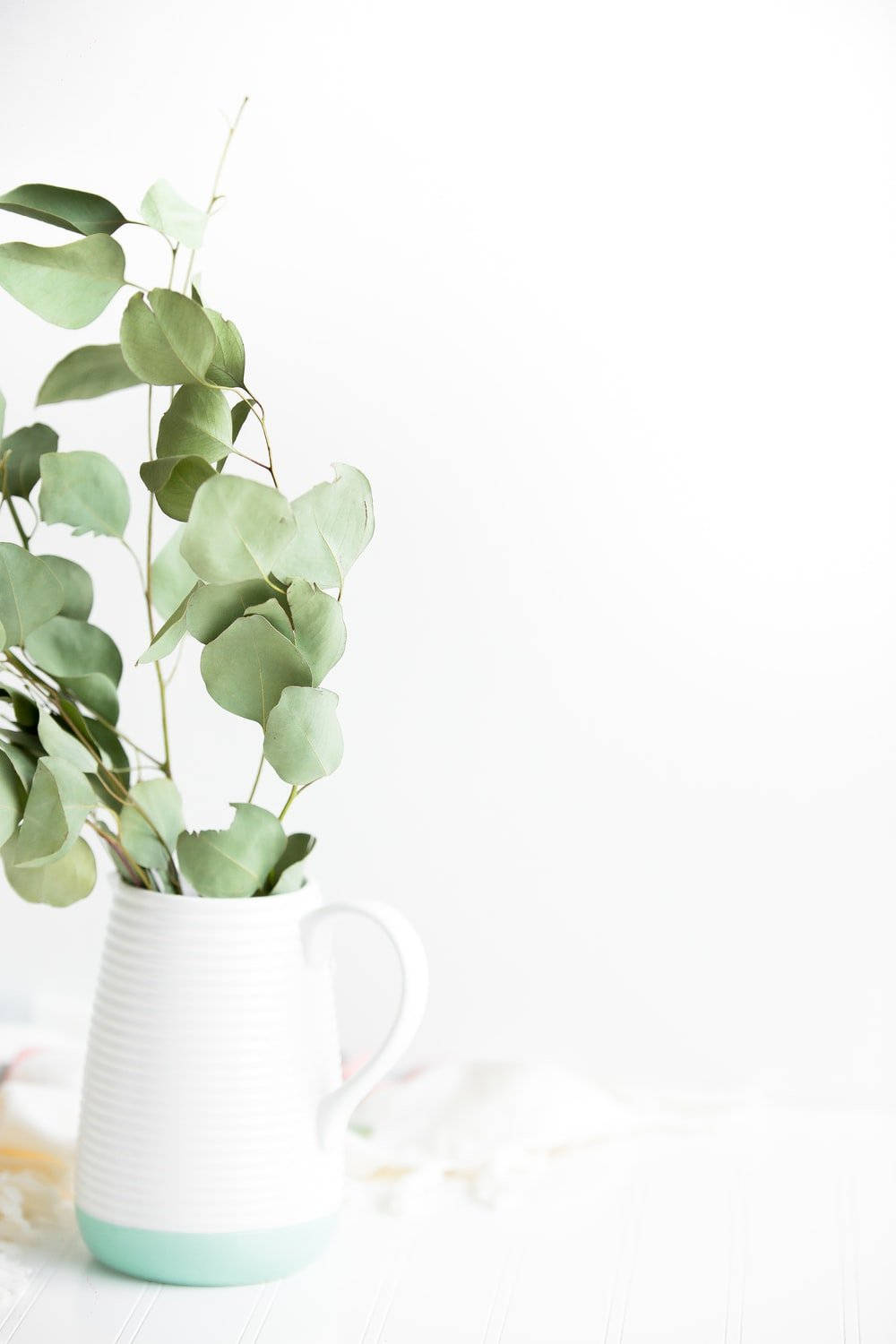 Eucalyptus Ceramic Vase Background