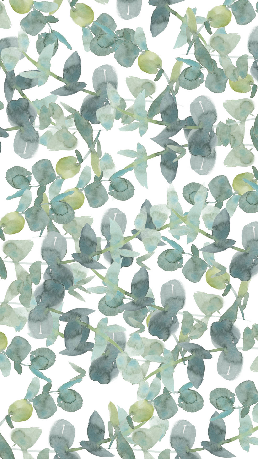 Eucalyptus Leaves Painted Background