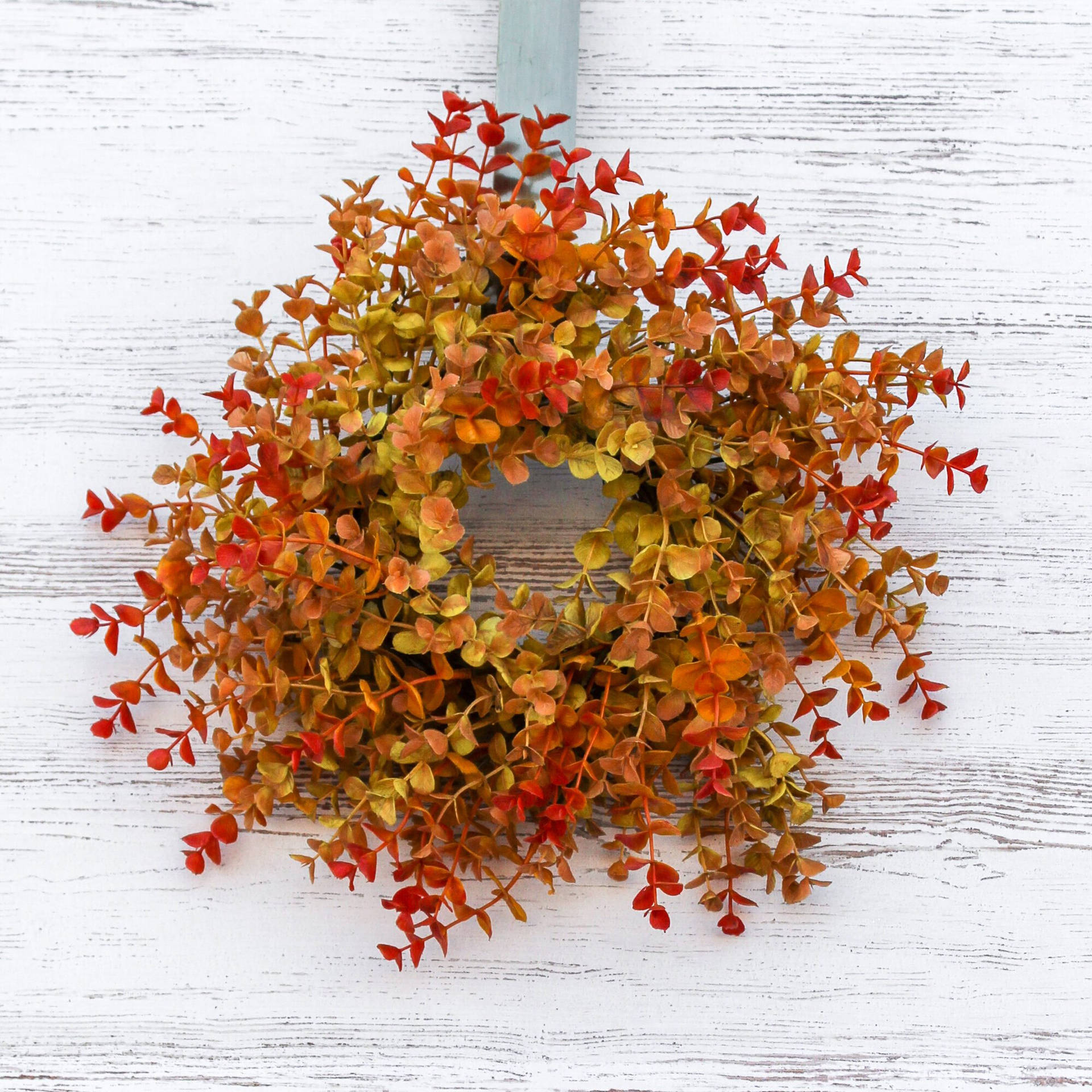 Eucalyptus Wreath Autumn Background