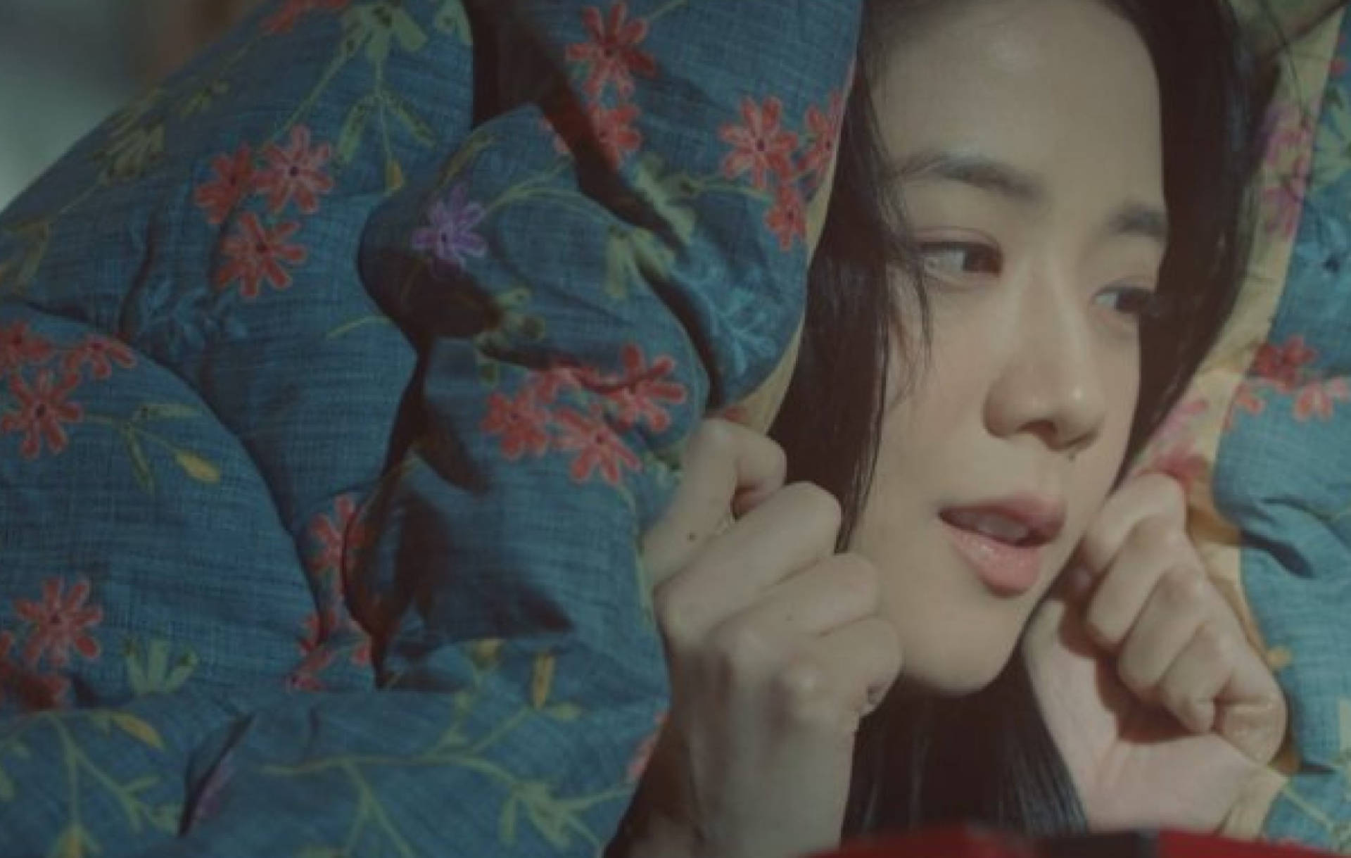 Eun Yeong-ro Blanket Snowdrop Drama