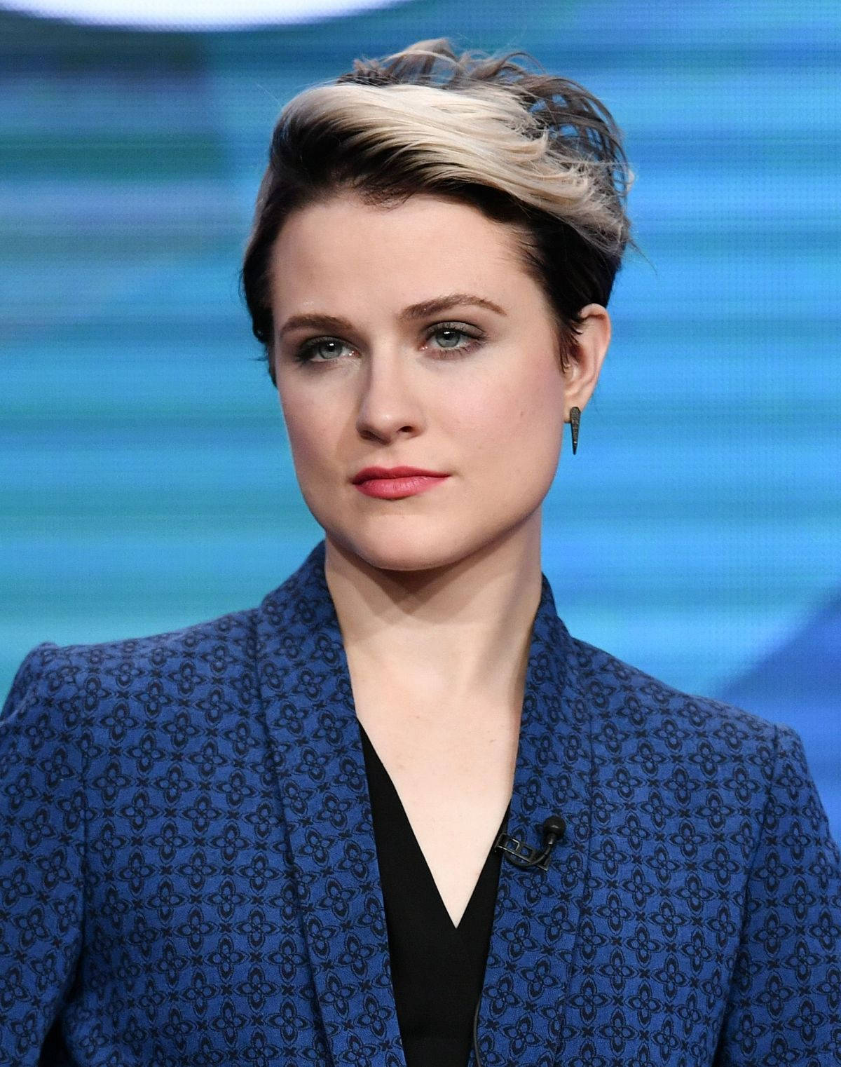 Evan Rachel Wood Westworld Panel Discussion 2016 Background