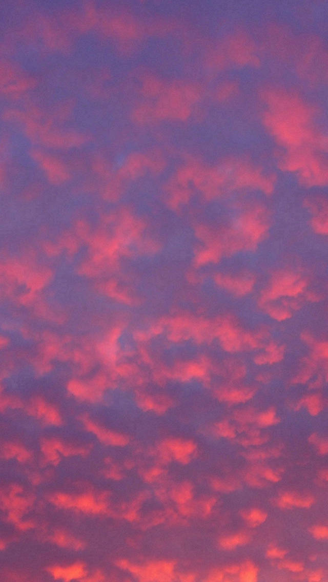 Eve's Heart Embraces A Sight Of Beauty As The Pink Sunset Casts Its Reflection On The Water Background