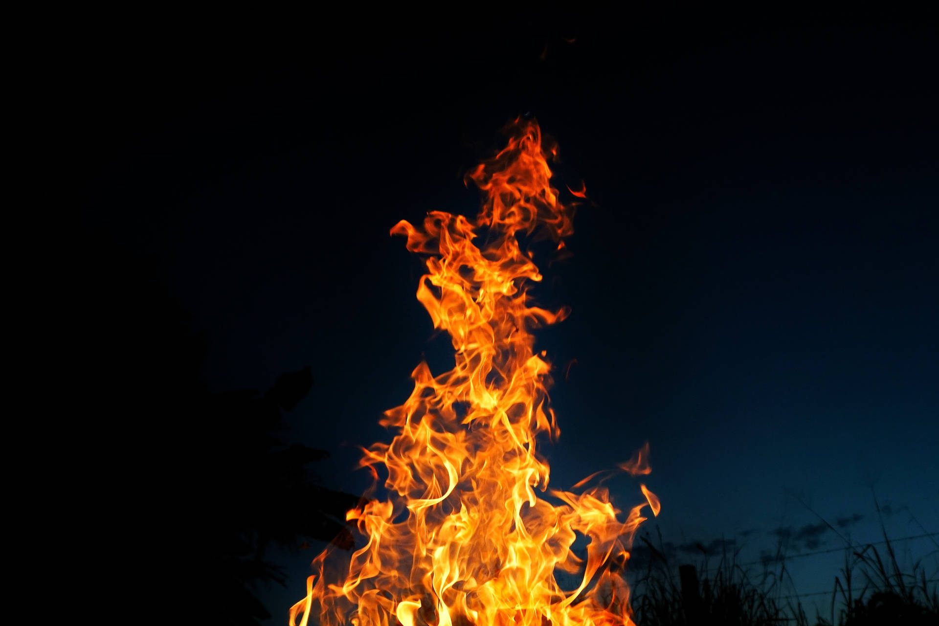 Evening 4k Fire Background