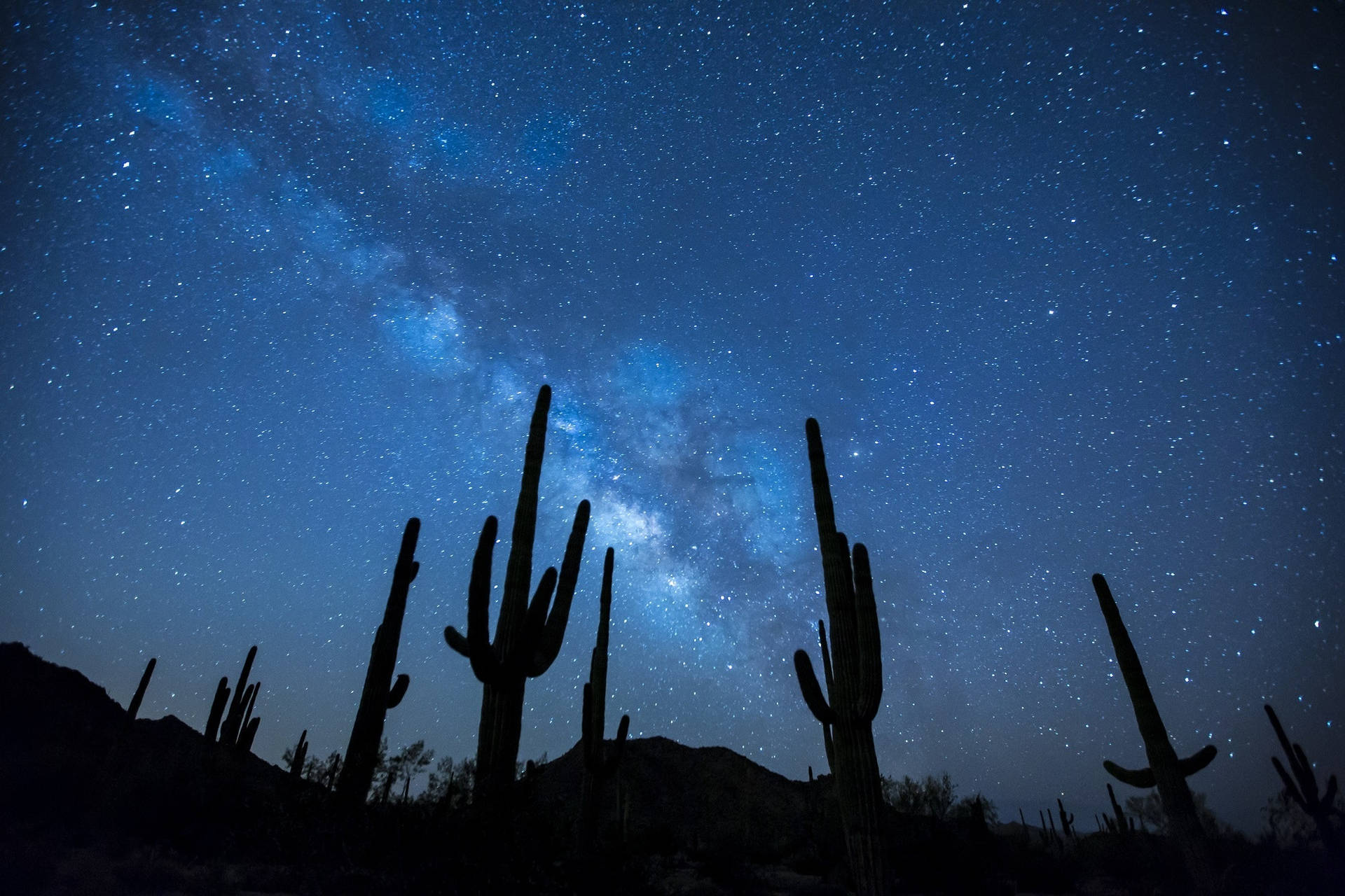 Evening Desert Landscapes Background