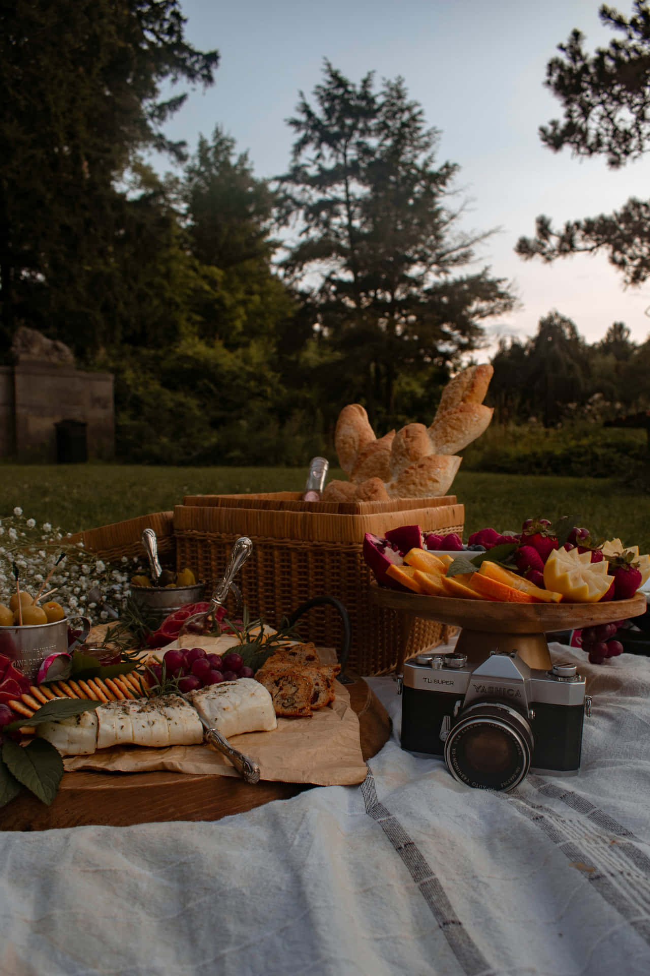 Evening Picnic Setup.jpg Background