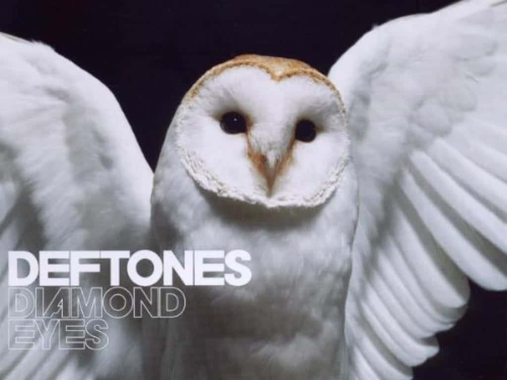 Everyone Can Be A Fan Of Deftones Background