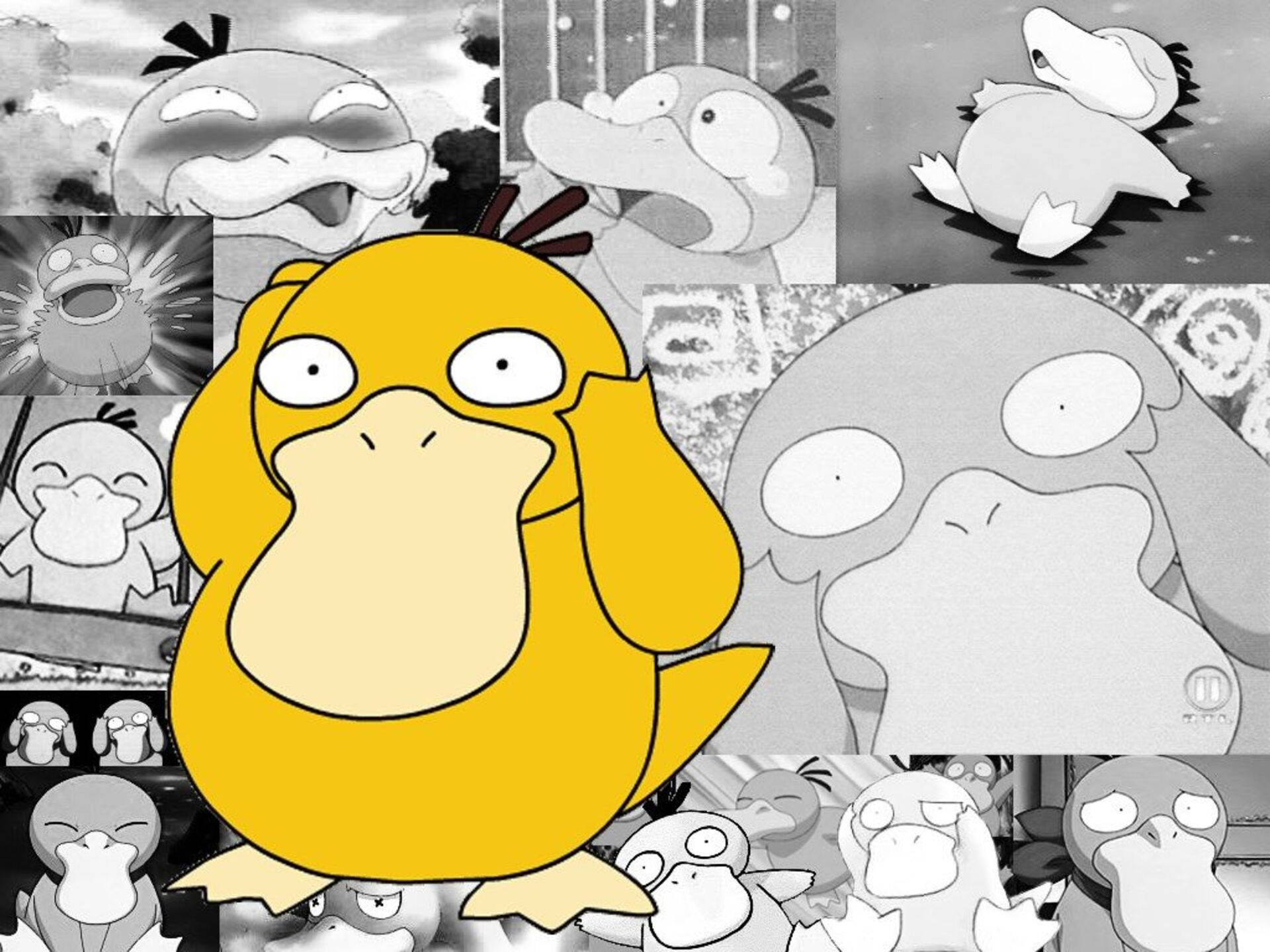 Everyone Loves That Funny Little Psyduck Background