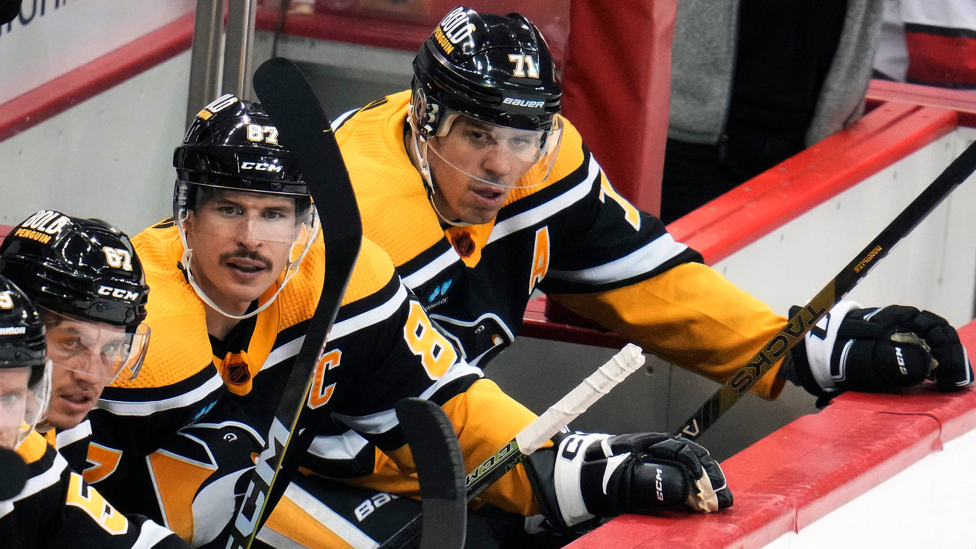 Evgeni Malkin Teammates Watching Game Bench Background