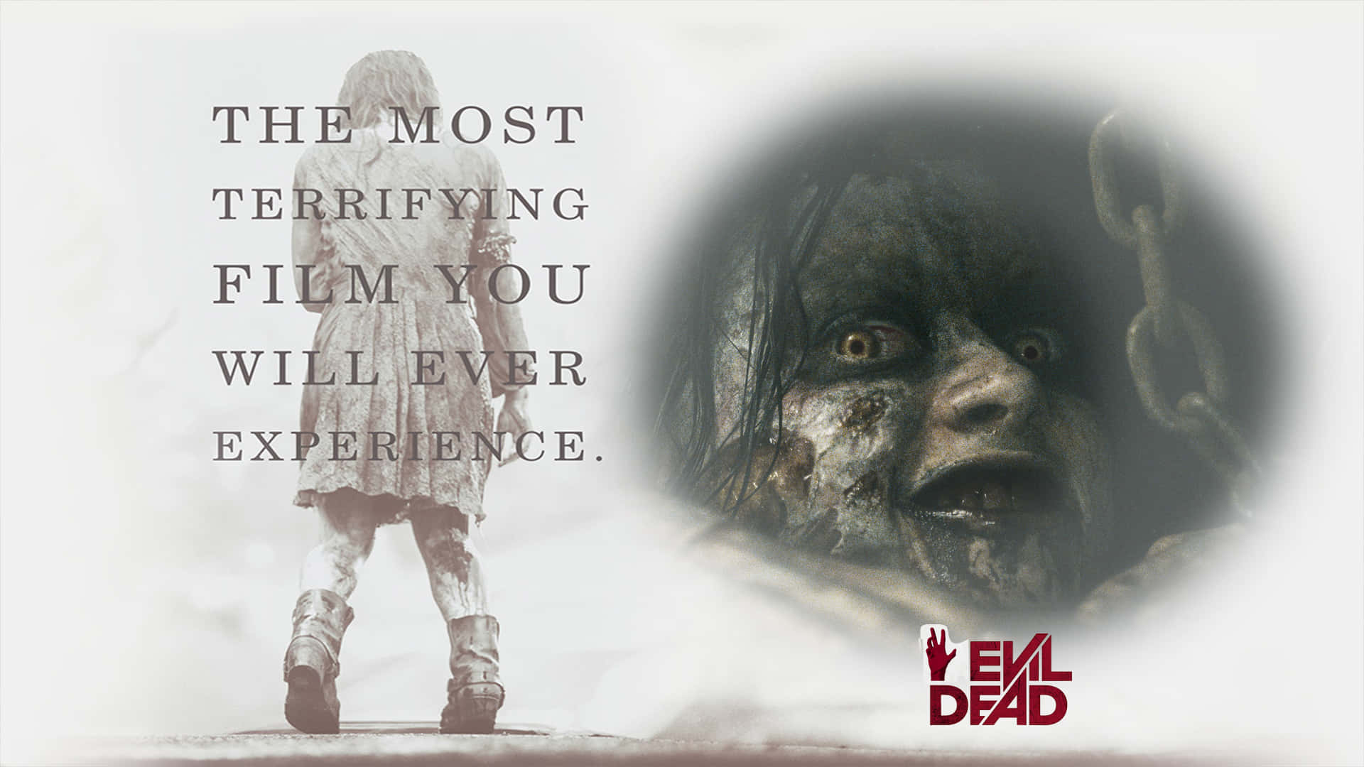 Evil Dead Cellar Background