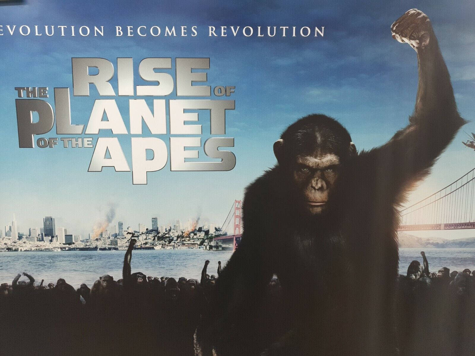 Evolution Become Revolution Planet Of The Apes Background