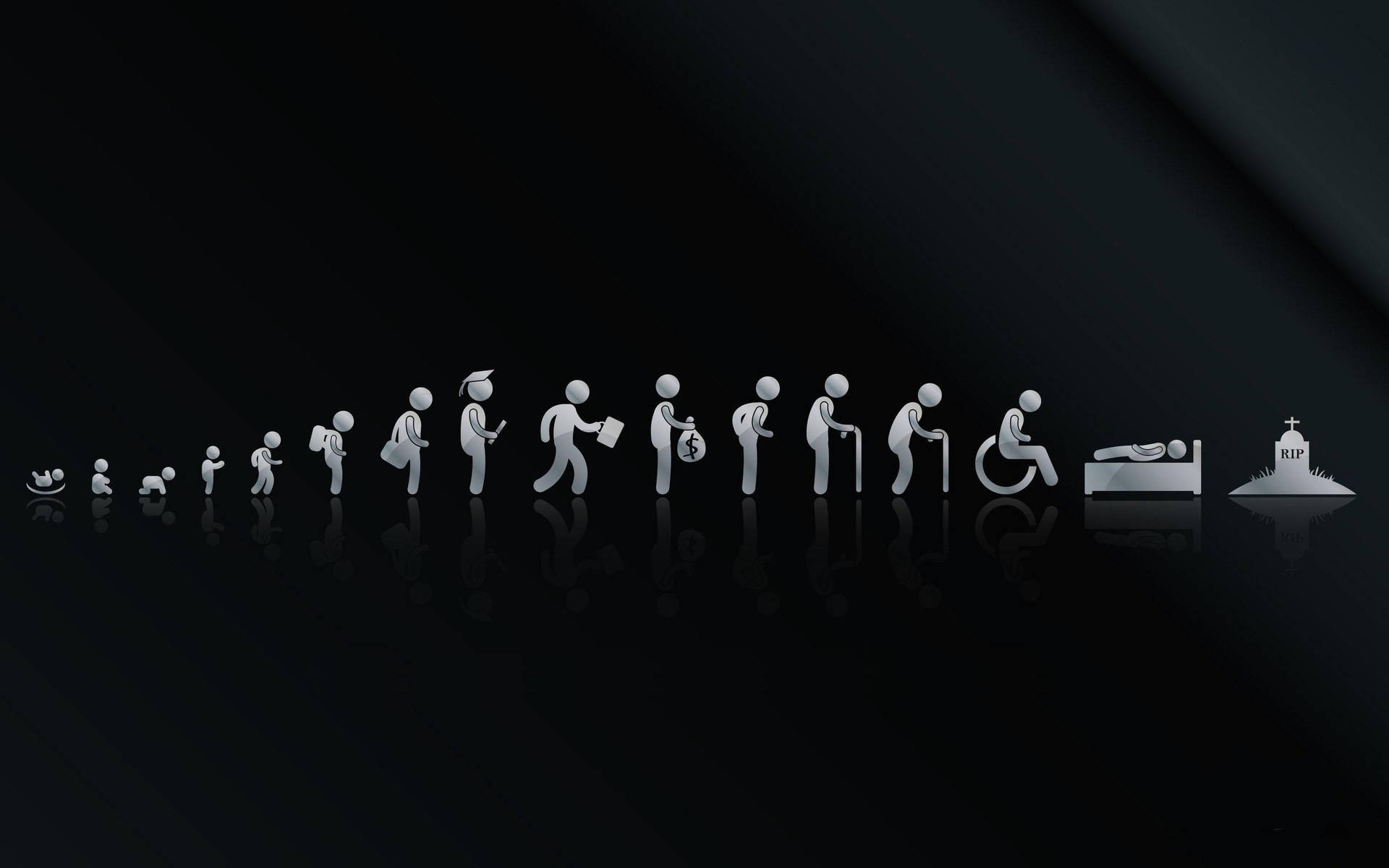 Evolution Of Life Desktop Background