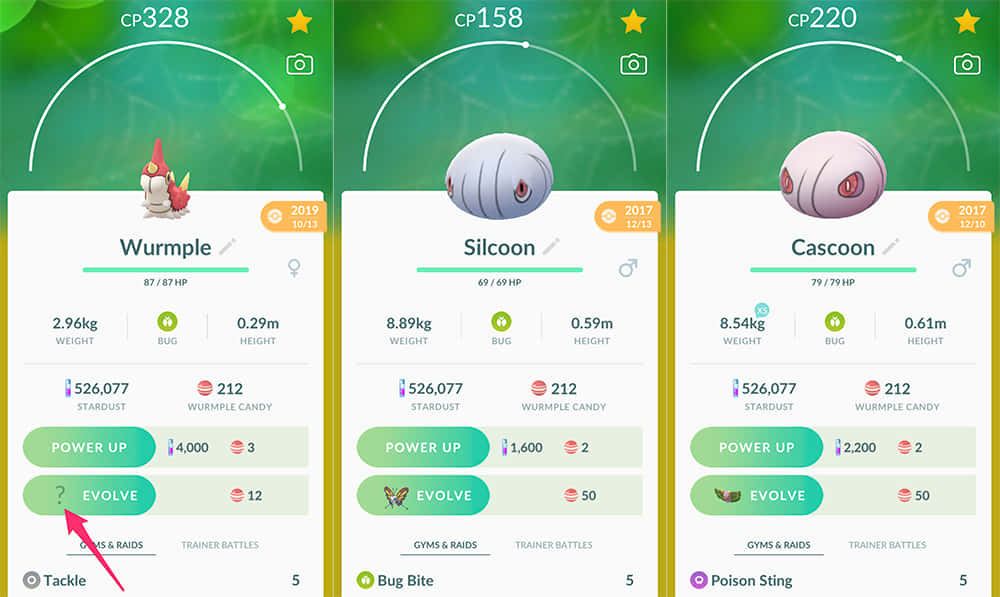 Evolution Stages Of Wurmple Into Silcoon And Cascoon Background