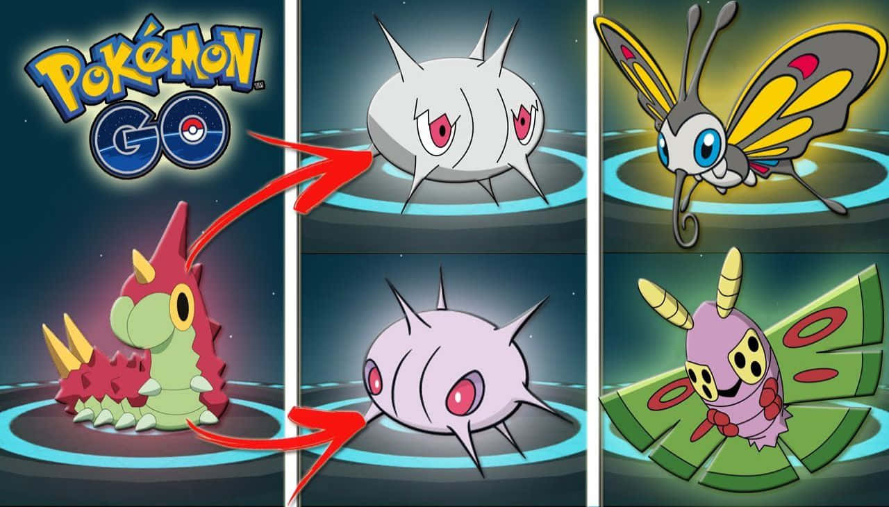 Evolution Stages Of Wurmple