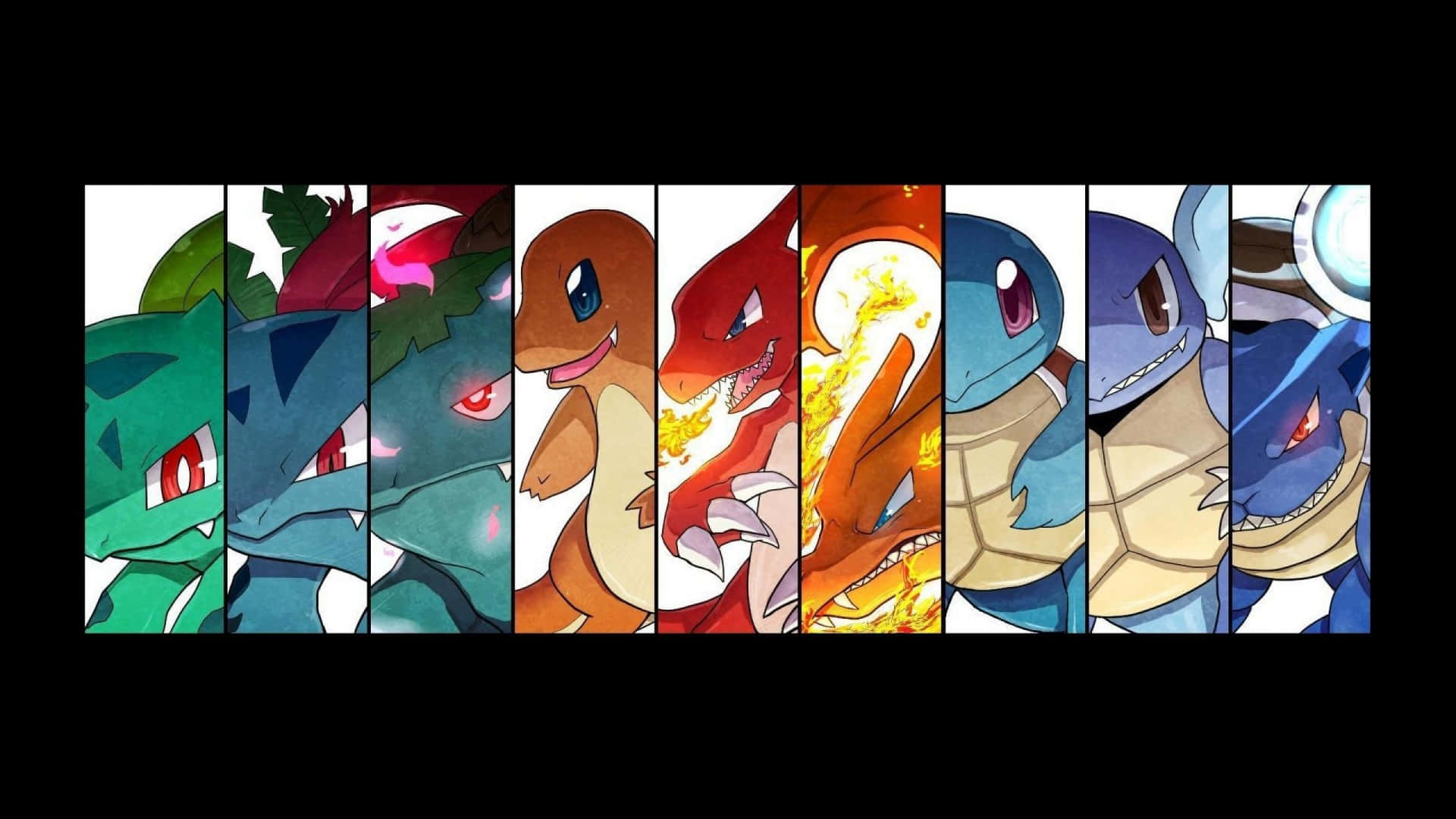 Evolving Journey Of Wartortle And Blastoise