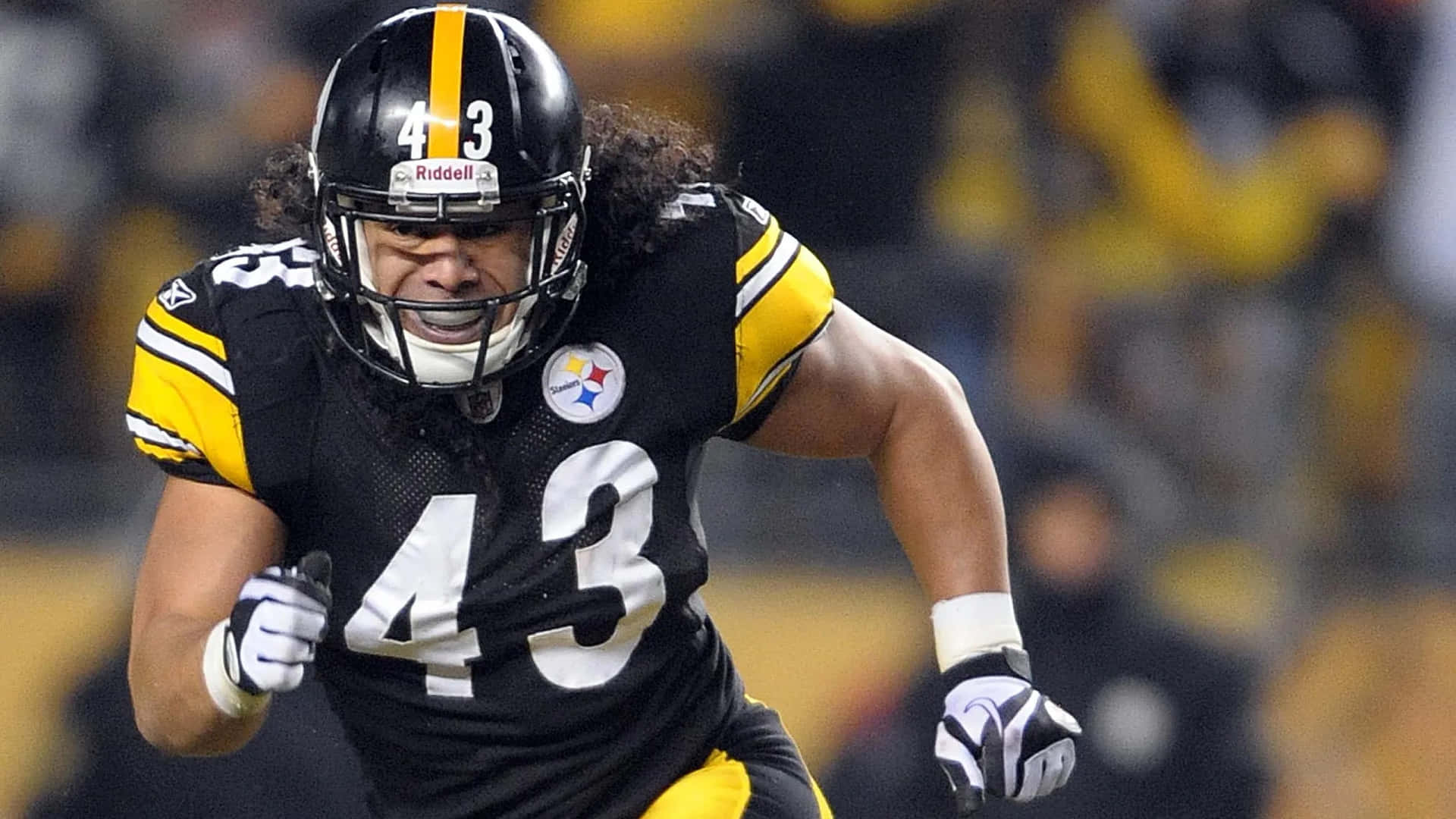 Ex-pittsburgh Steelers Star Troy Polamalu On The Field At Heinz Field. Background