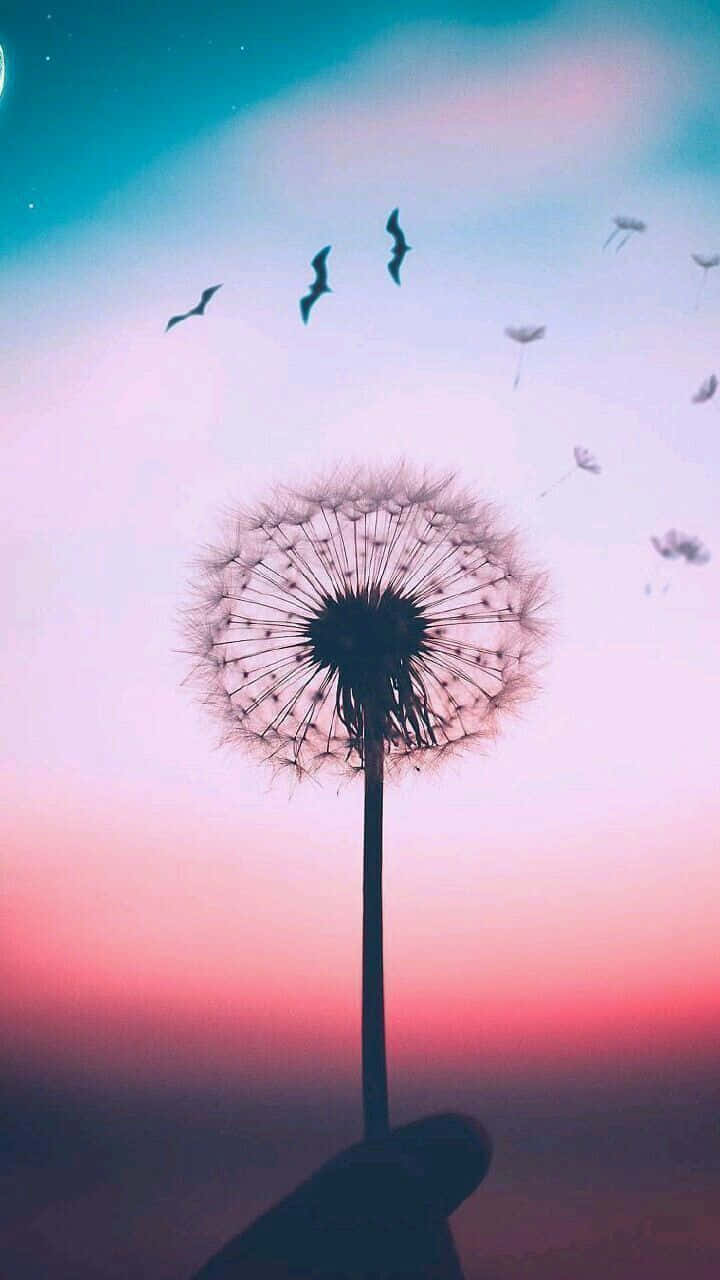 Exceptional Dandelion Background