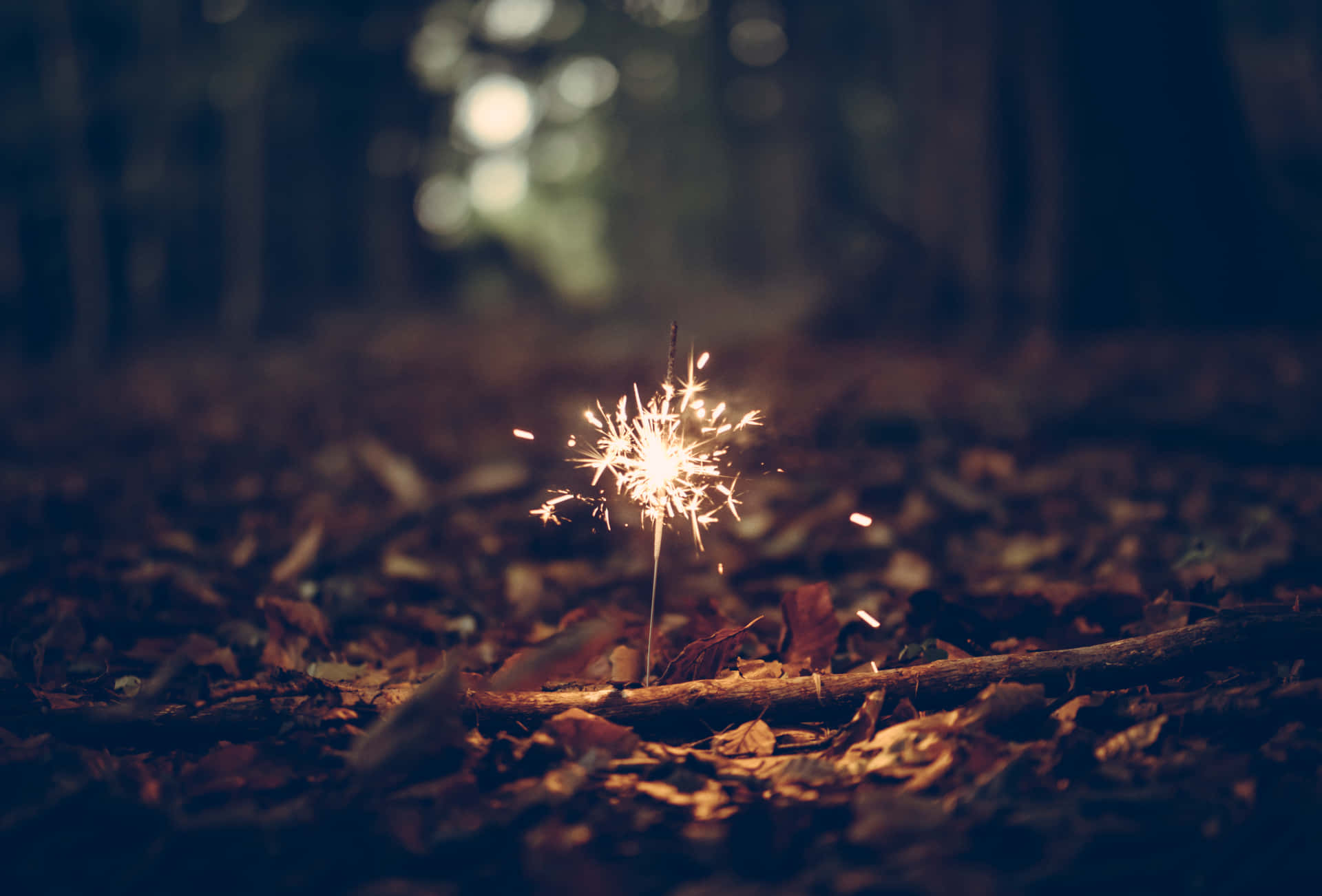 Exceptional Firework Sparks Background
