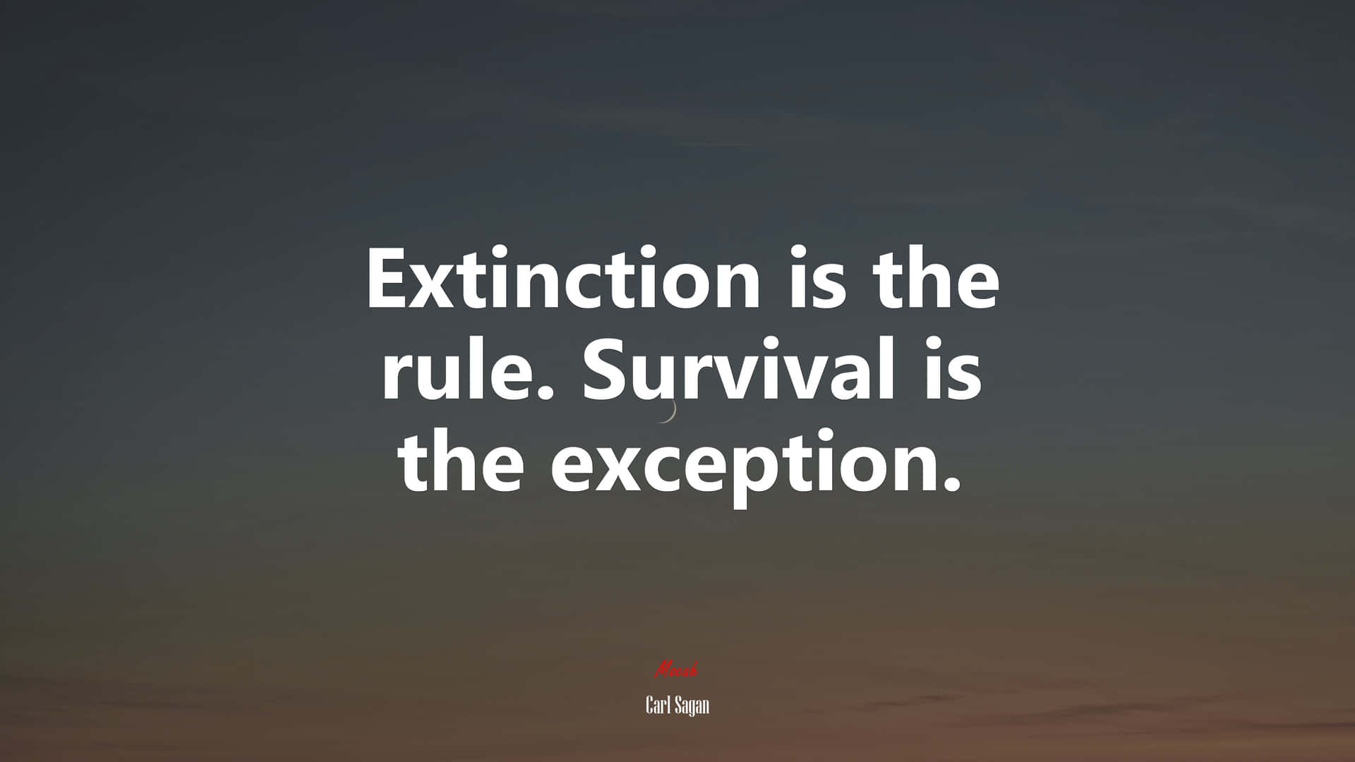 Exceptional Quote On Extinction And Survival Background