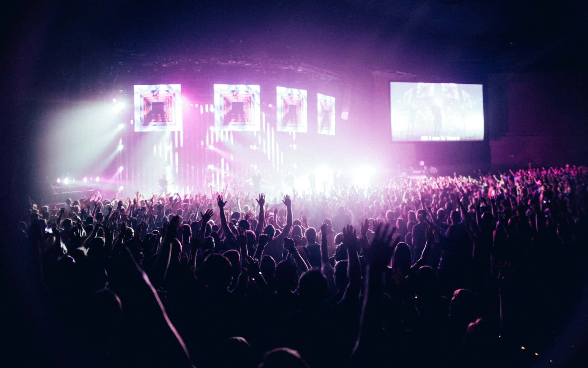 Excited Crowd At Music Festival Background