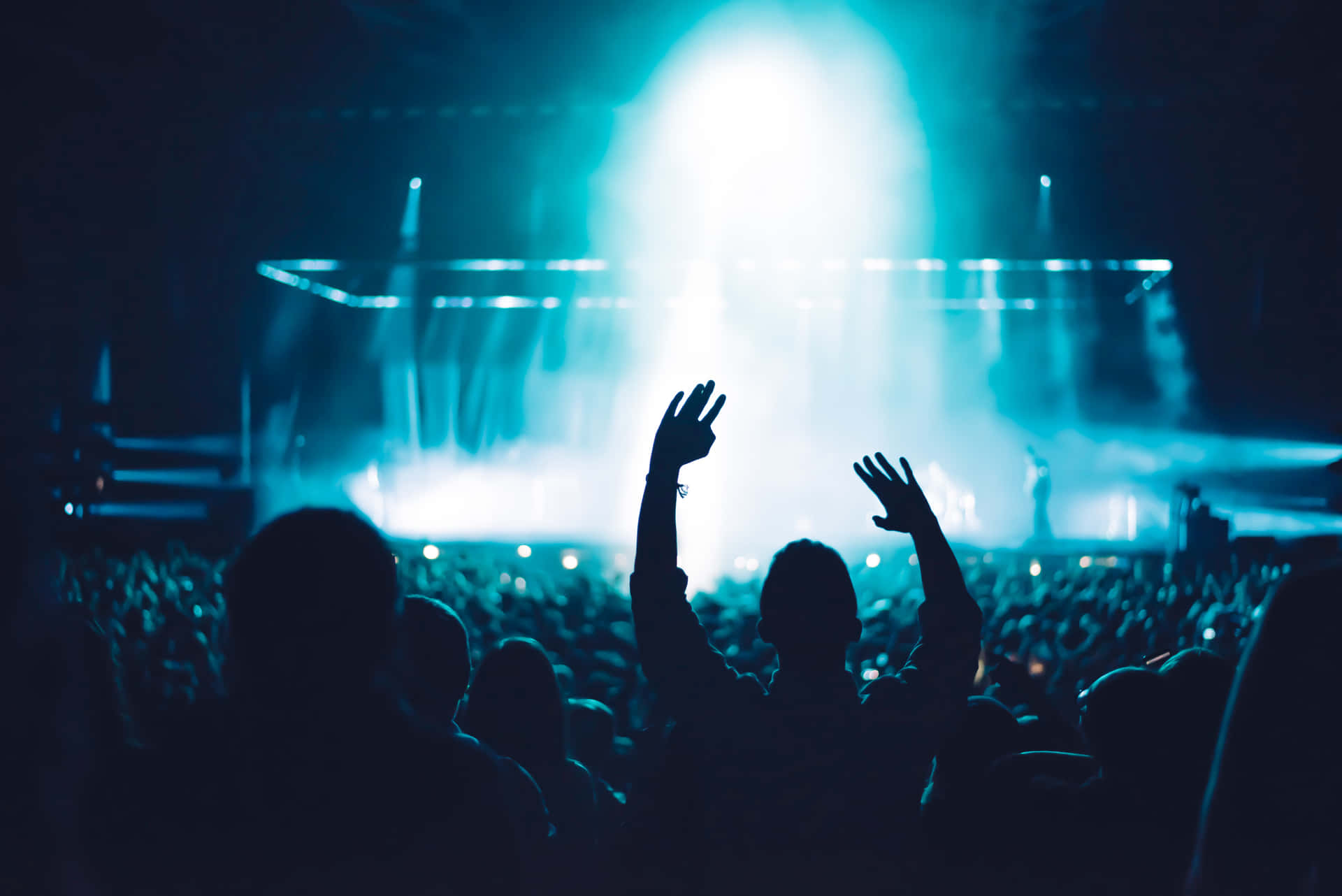 Excited Crowd Enjoying A Music Festival Background