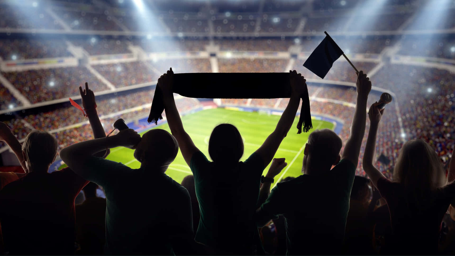 Excited Sports Fansat Stadium