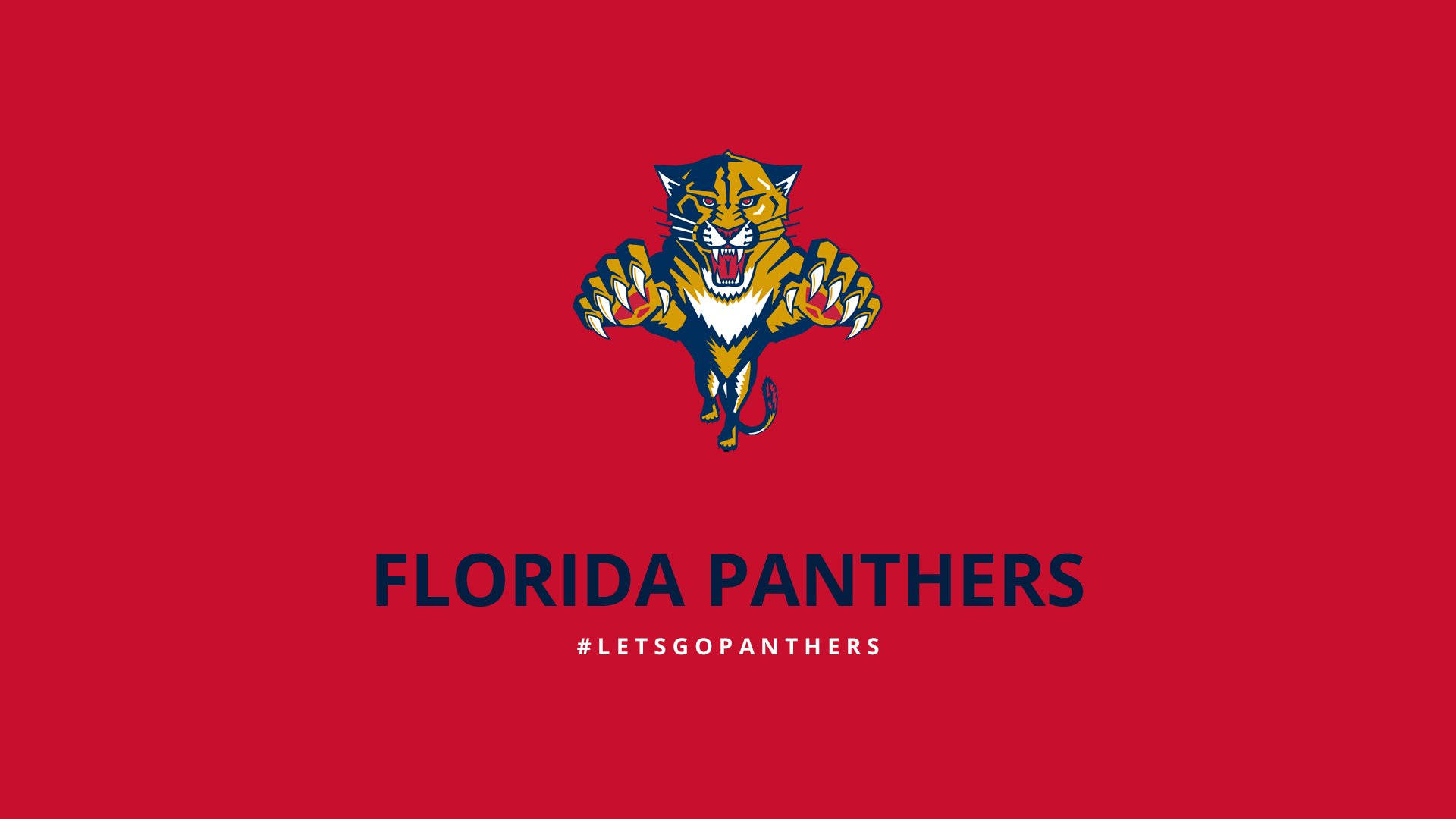 Exciting Action Moment In A Florida Panthers Game