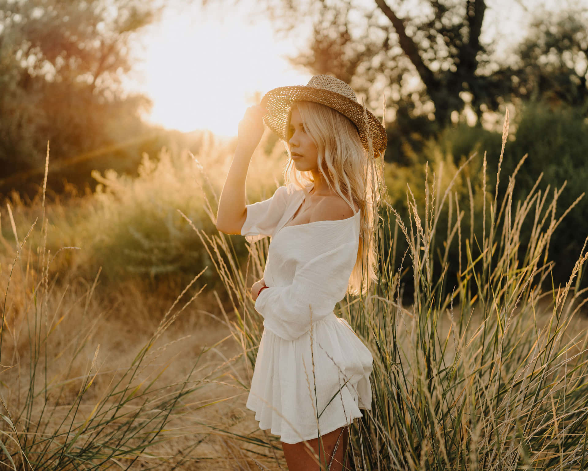 Exemplary Photography At Sunset Background