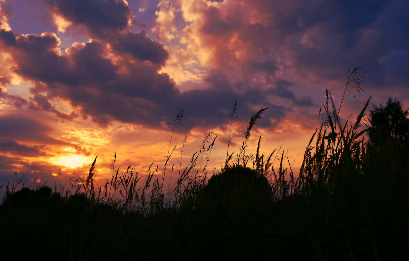 Exemplary Photography Desktop