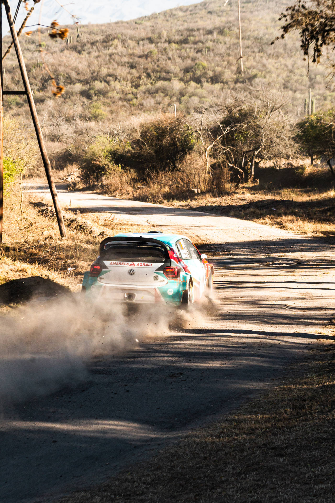 Exhilarating Speed - Dirt Rally Car Blazing Through A Trail Background