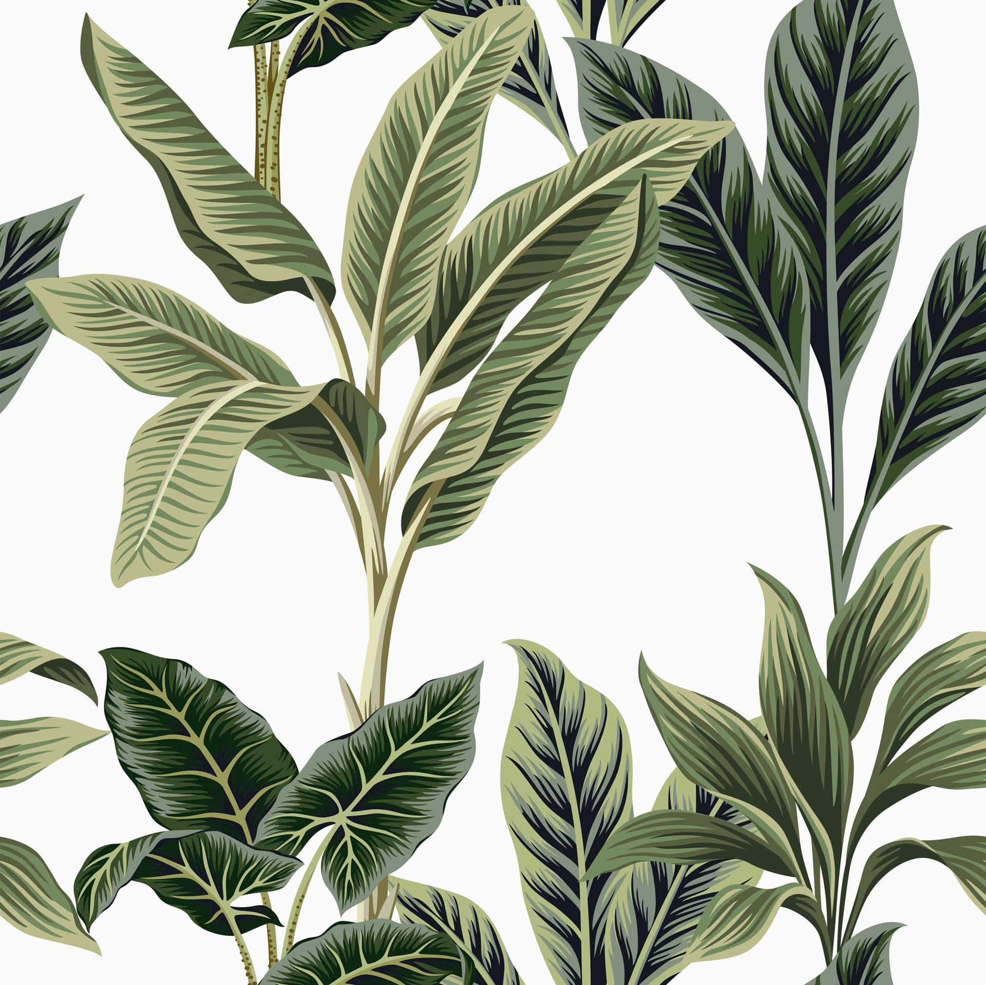 Exotic Minimalist Leaves [wallpaper] Background
