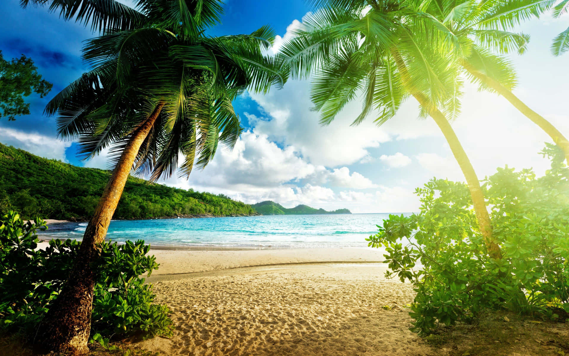 Experience A Beautiful Ocean Breeze In Palm Beach Background