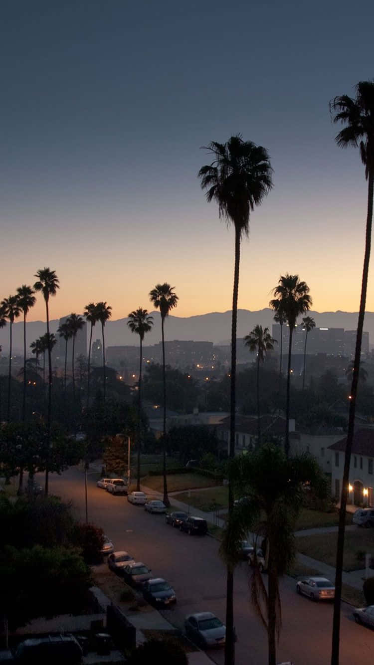 Experience A Breathtaking Urban Escape Of Los Angeles, California