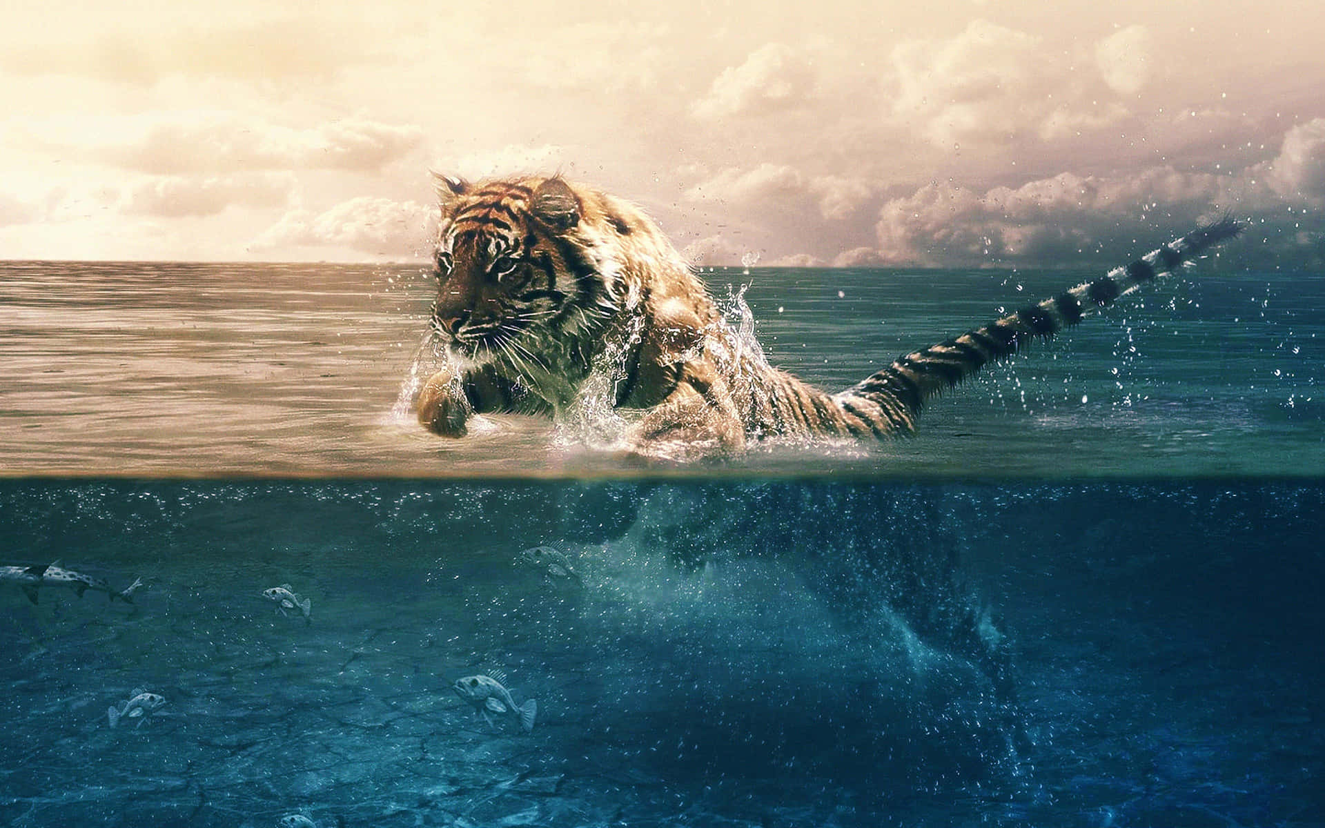 Experience A Clear And Detailed 4k Retina Display Background