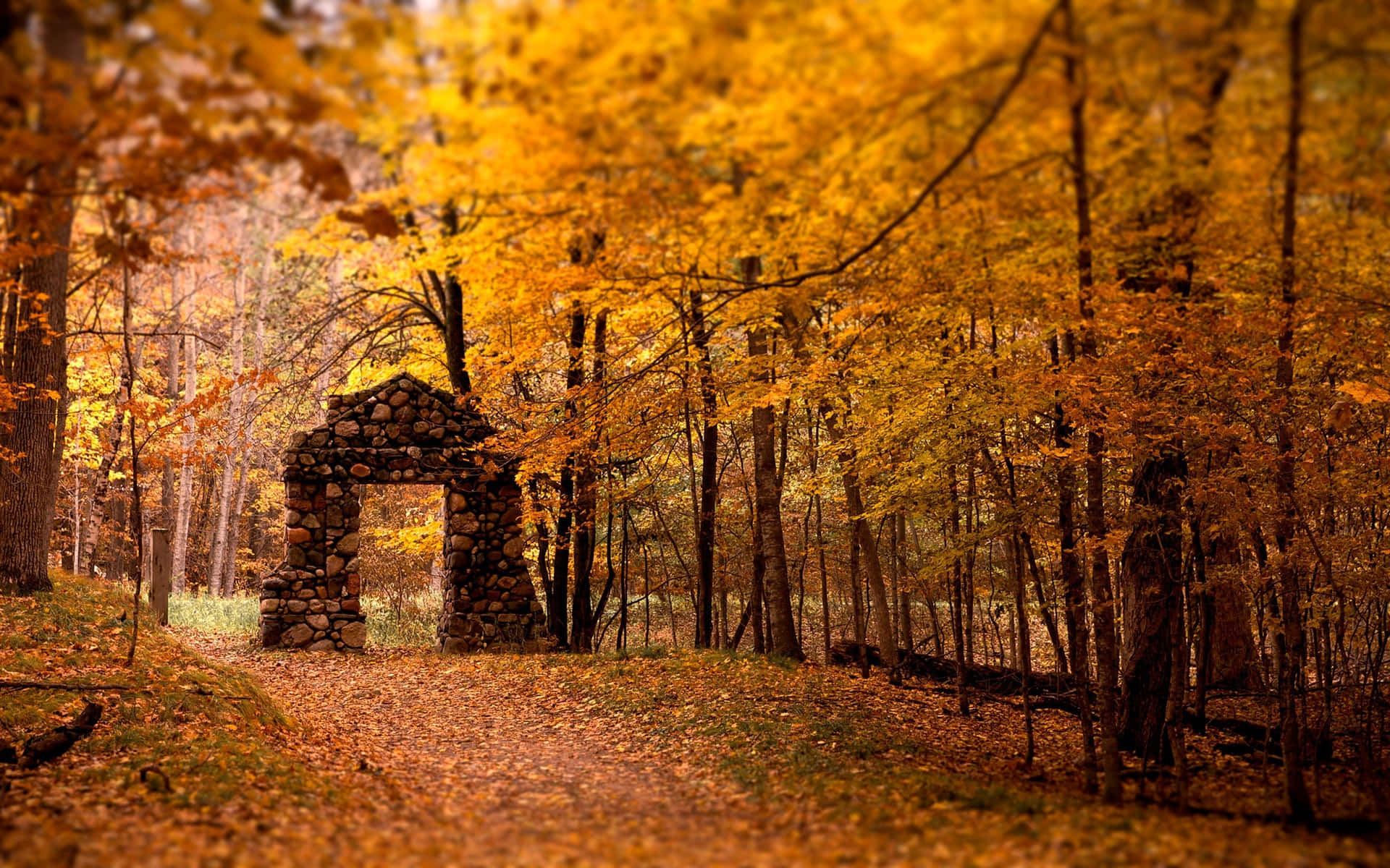 Experience A Colorful Autumn In Maine’s Acadia National Park Background