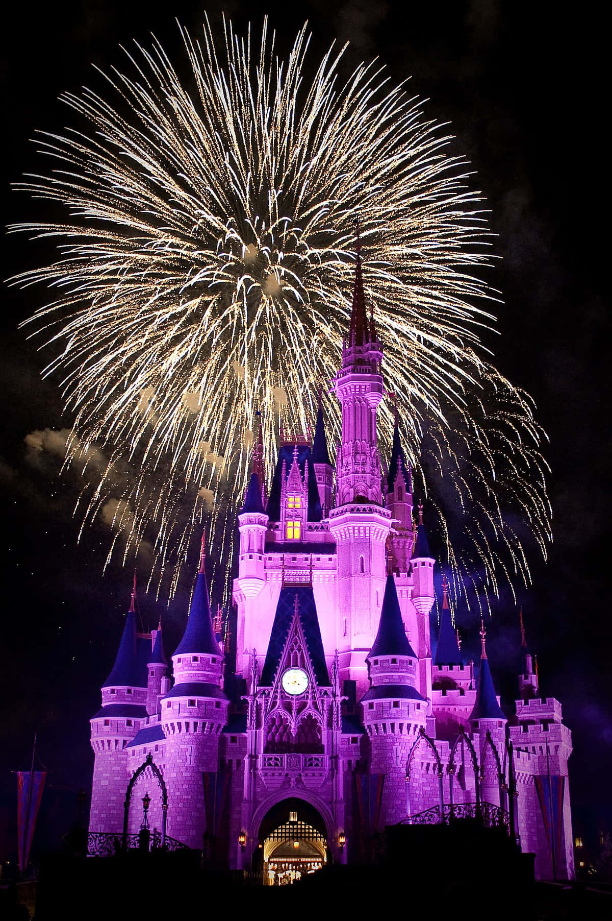 Experience A Magical Adventure At Disney World! Background