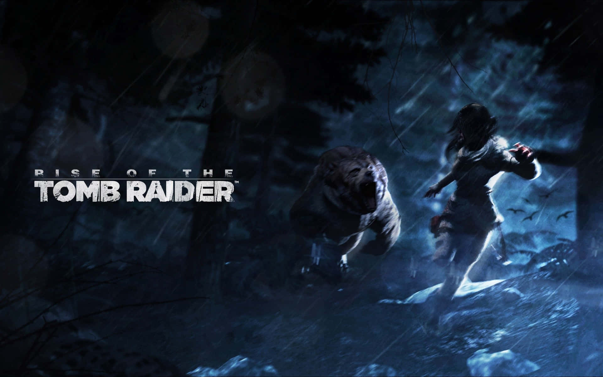Experience A Thrilling New Adventure With Rise Of The Tomb Raider.