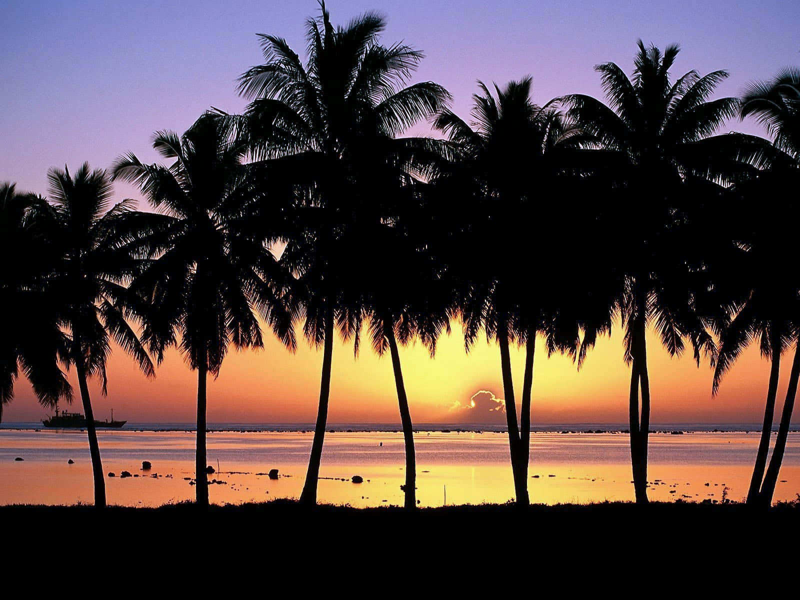 Experience A Tranquil Hawaiian Sunset.