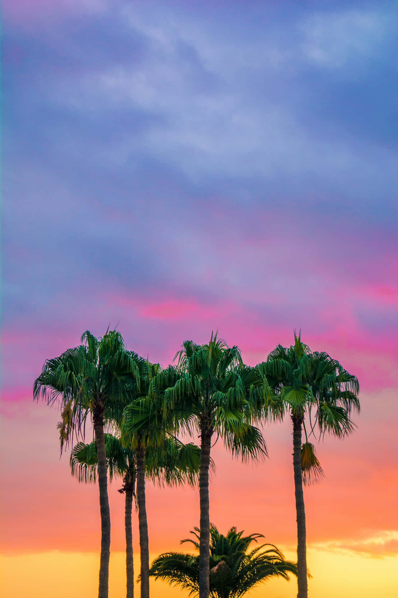 Experience Amazing Visuals On The Awesome Ipad Background