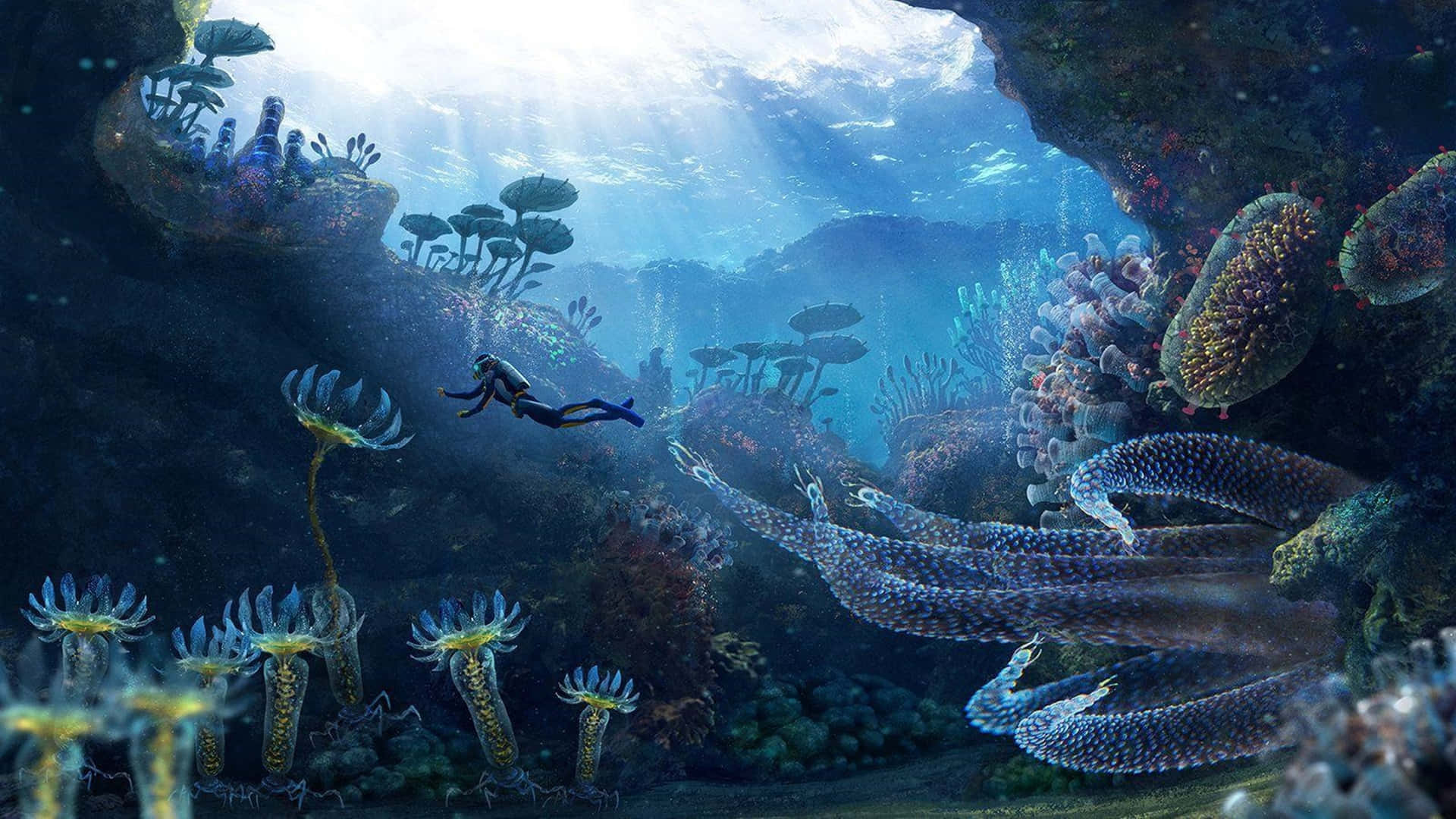 Experience An Underwater Adventure Like No Other With Subnautica 4k Background