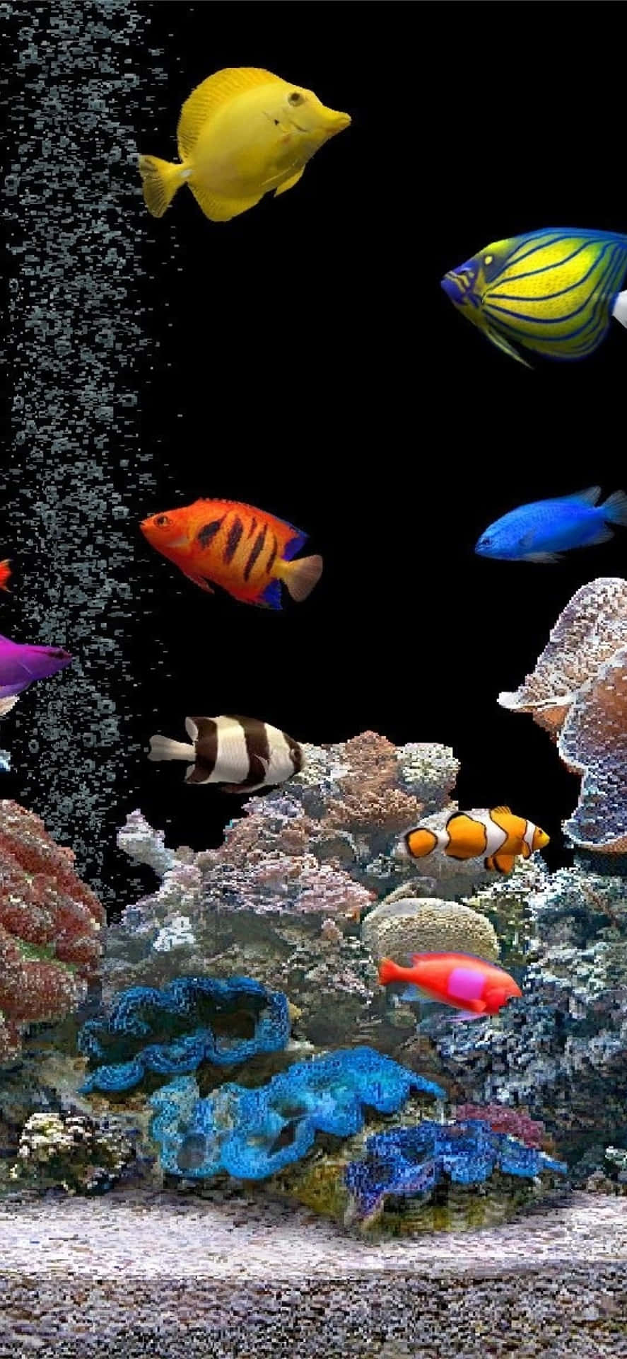 Experience An Underwater Escape With An Aquarium-themed Iphone Background