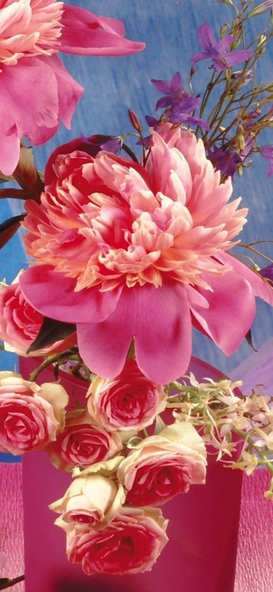Experience Beauty With This Colorful Flower Iphone Wallpaper Background