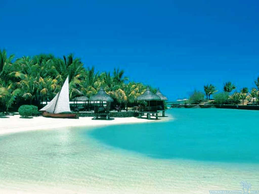 Experience Bliss With A Paradise Tropical Beach Scene. Background