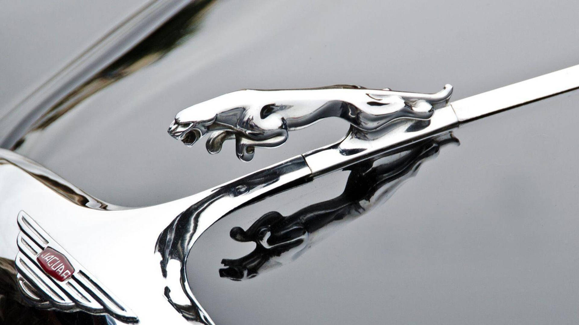 Experience Luxury With The Jaguar Car Logo Background
