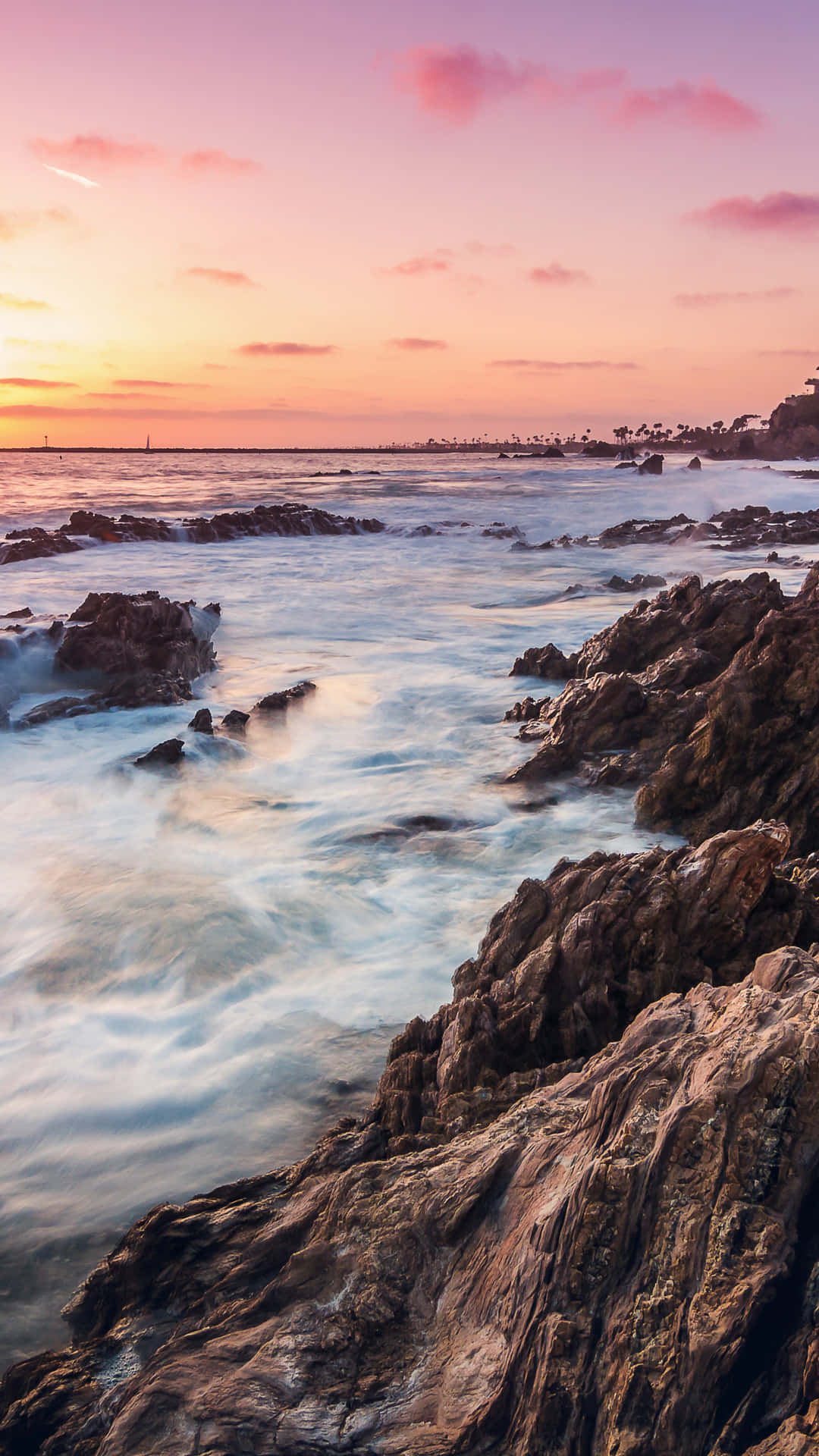 Experience Summertime In California Background