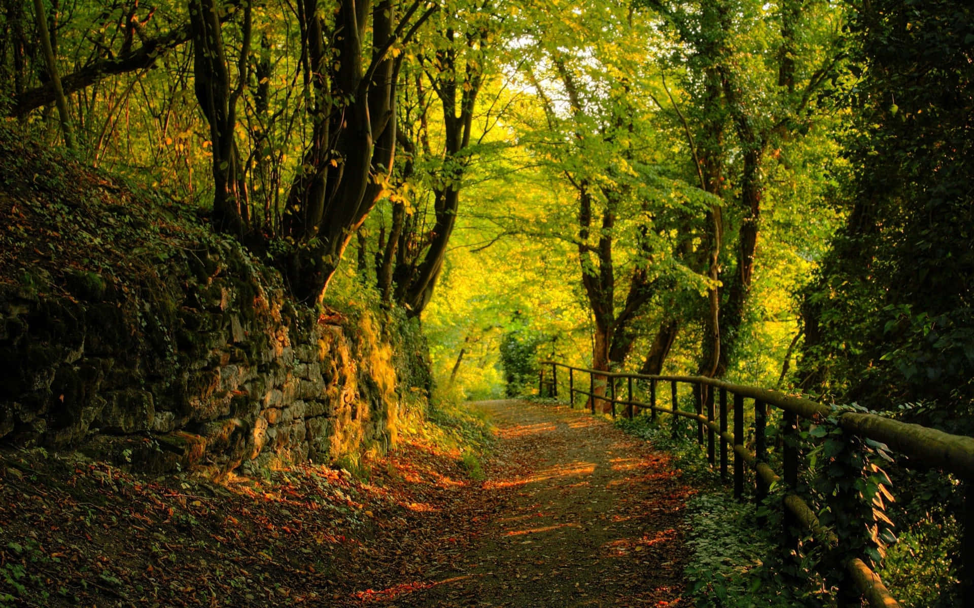 Experience The Amazing Beauty Of Nature In The Countryside