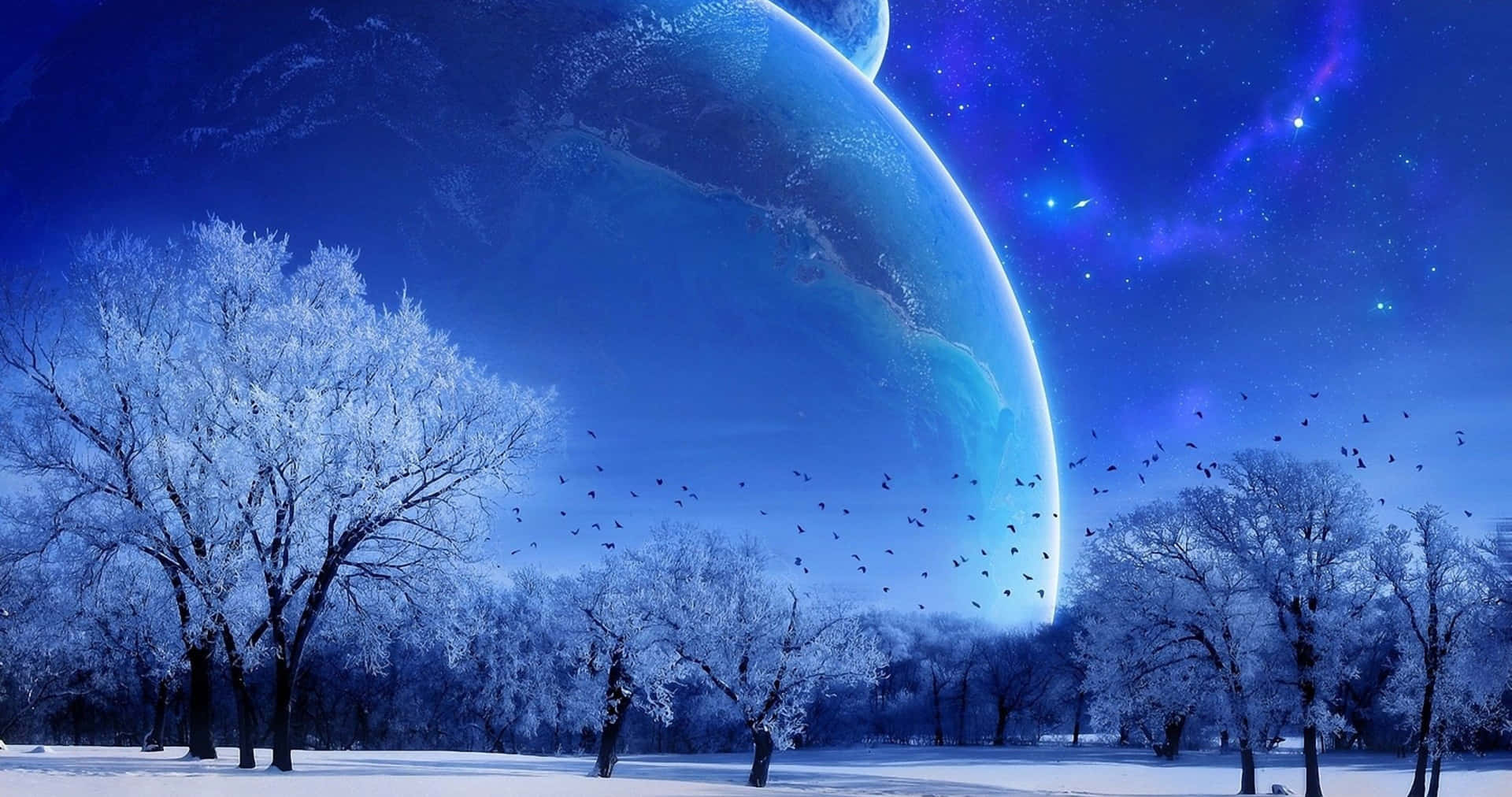 Experience The Beautiful Snow-covered Landscapes Of Winter Background